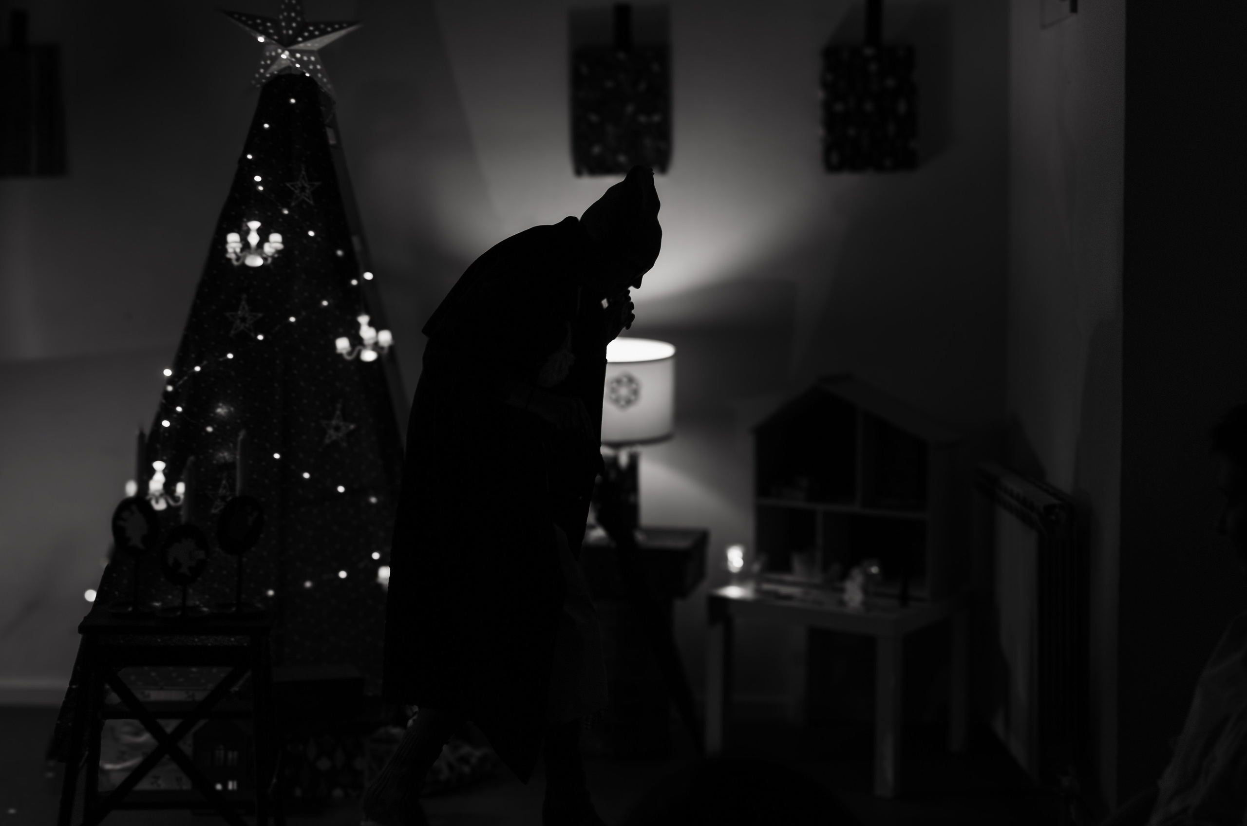 Performance «The Nutcracker». Event photographer Alena Iurchenko