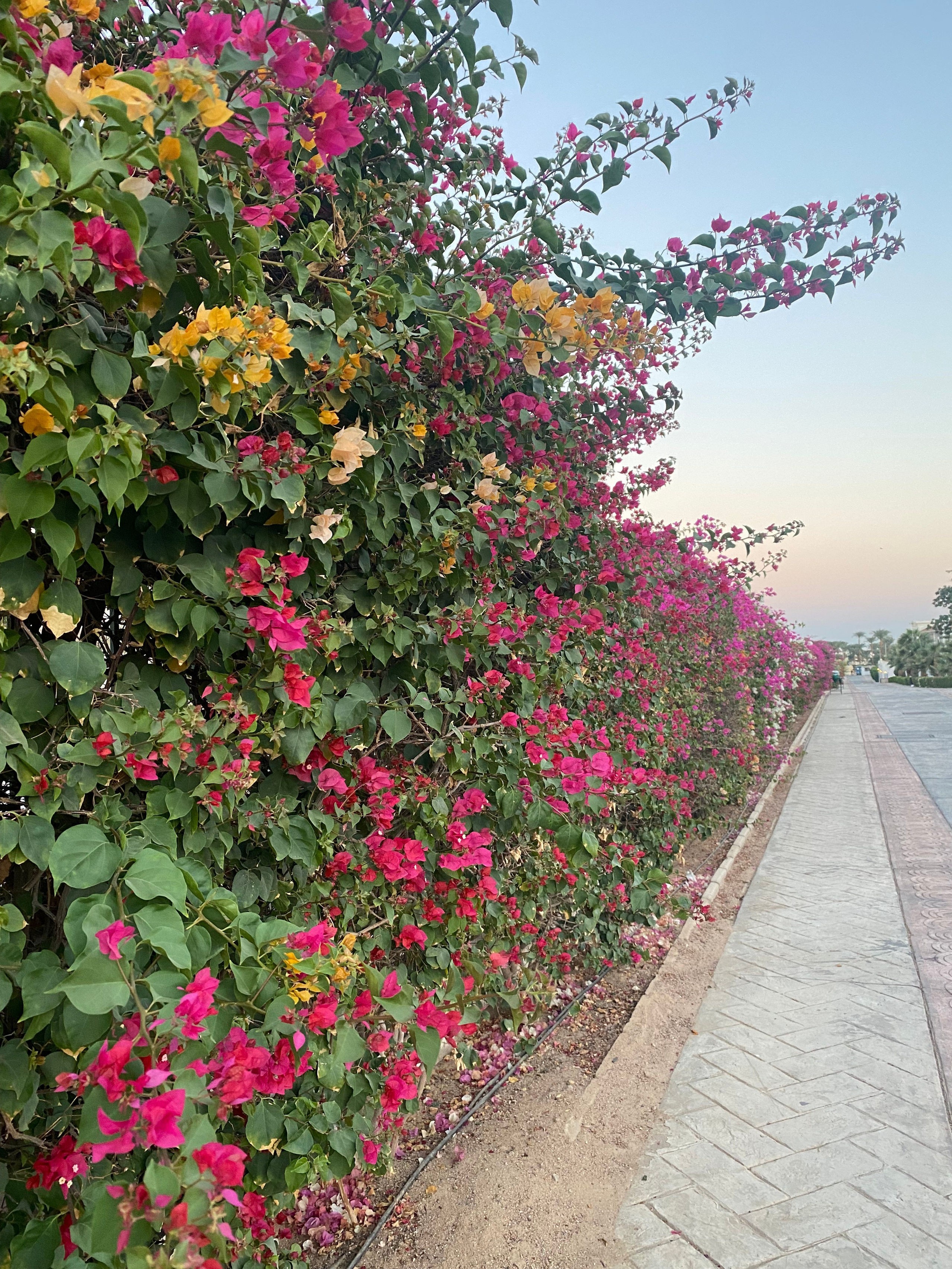 Египет — 21. Своя Мастерская