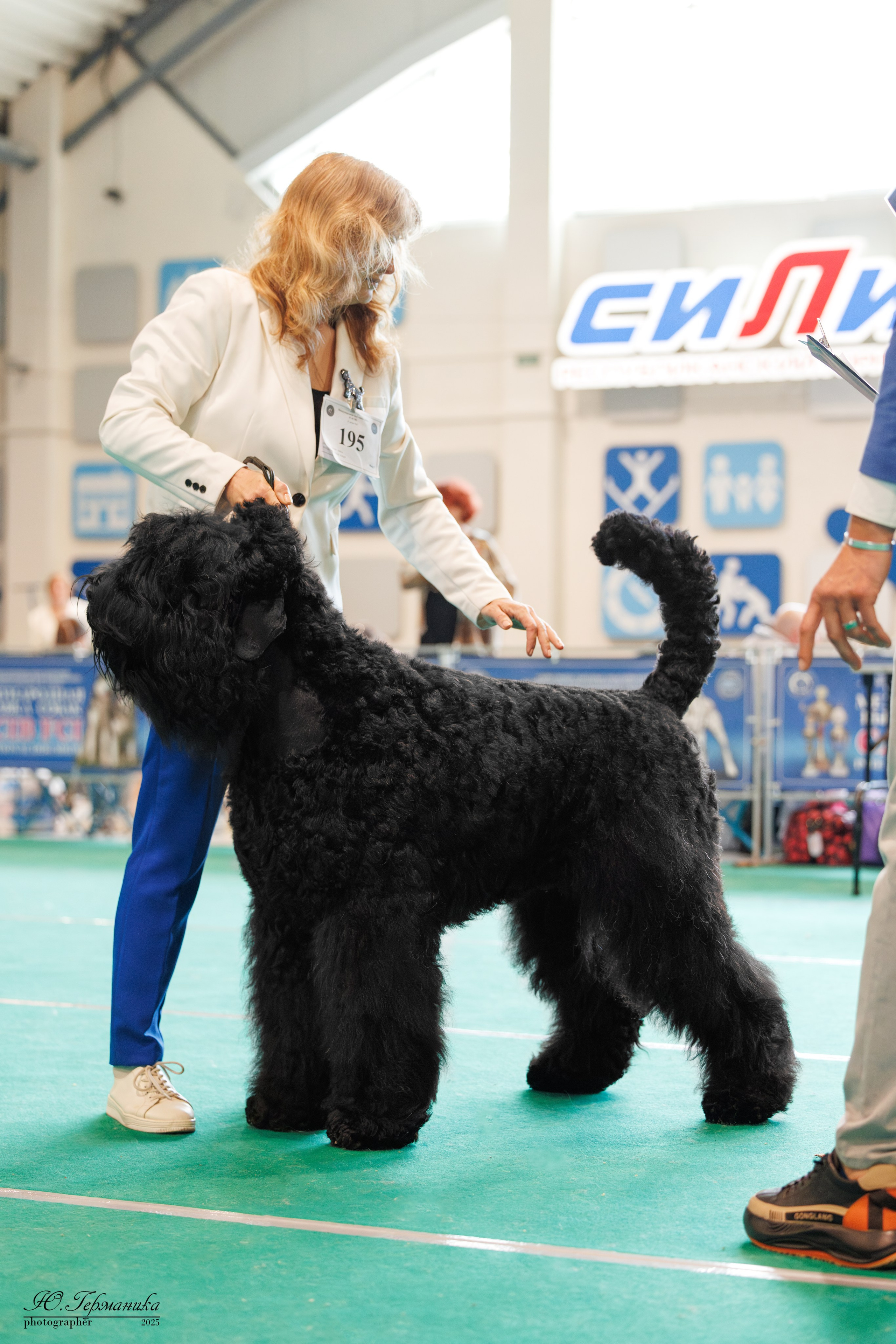 Минск 31.05-1.06.2025. Фотограф-анималист Юлия Германика