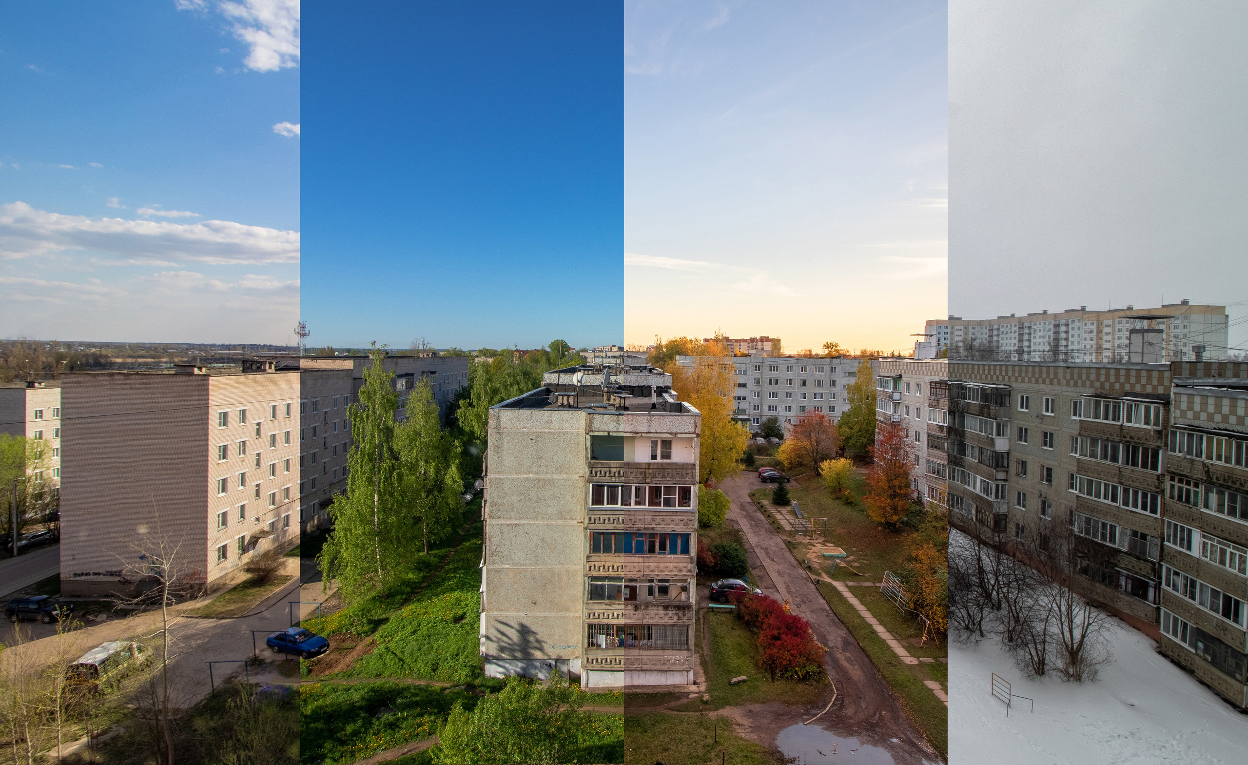 На досуге. Фотограф в Вязьме