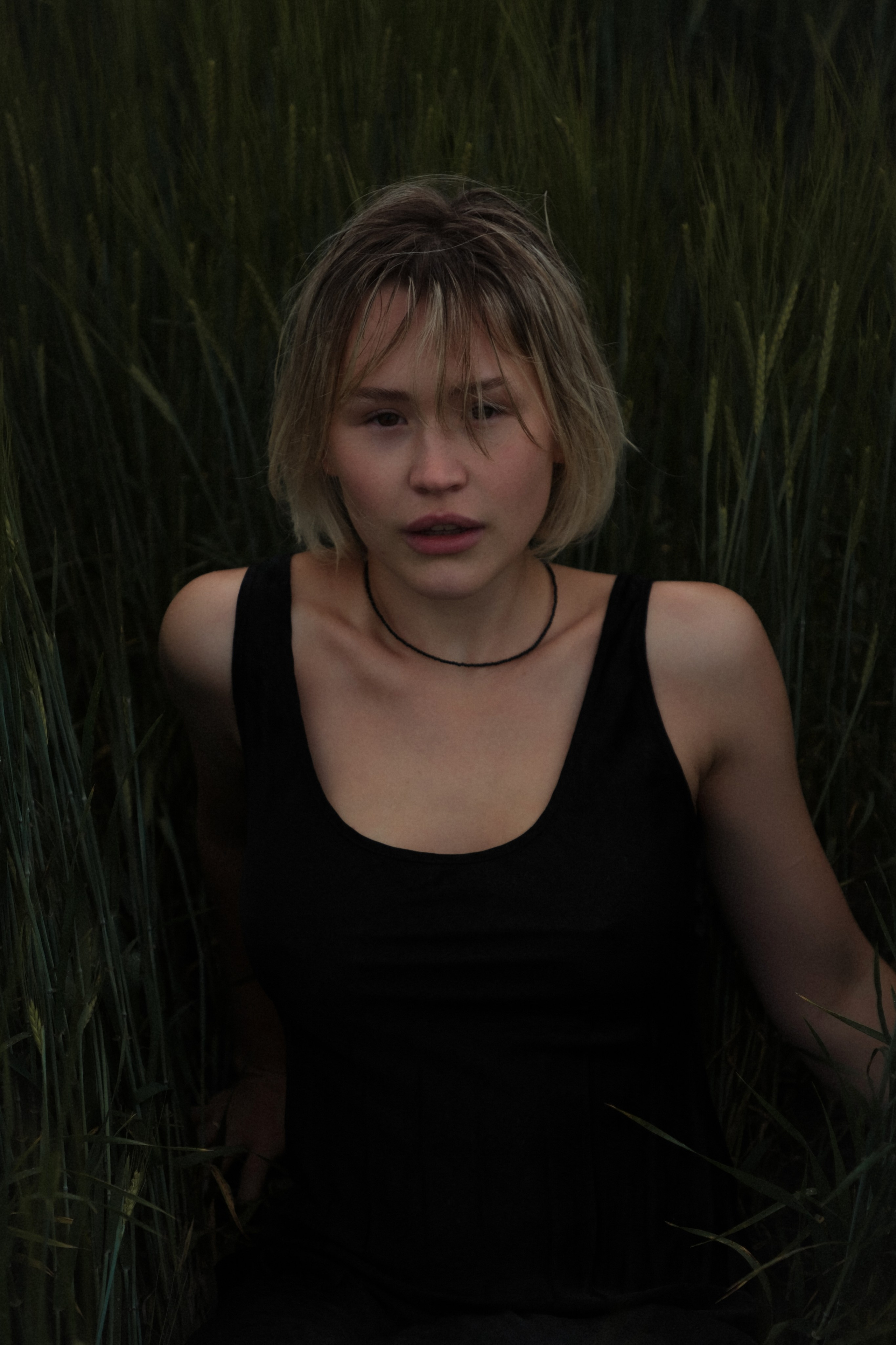 Шанси. ФОТОГРАФ ssbelova
