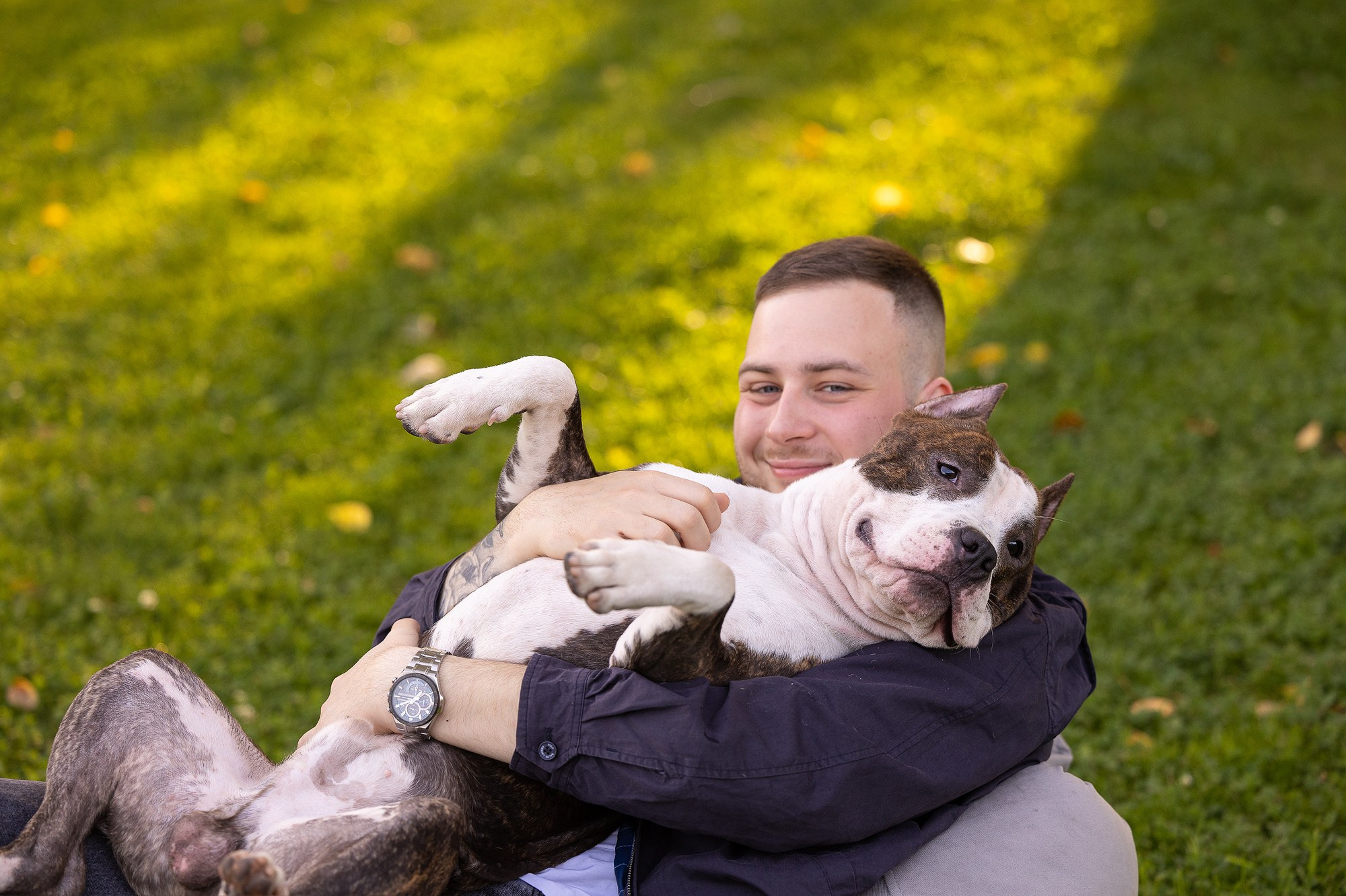 Амстафф Честер и его семья. Фотограф-анималист Natalia Deingel | Фотосъемка собак в Москве