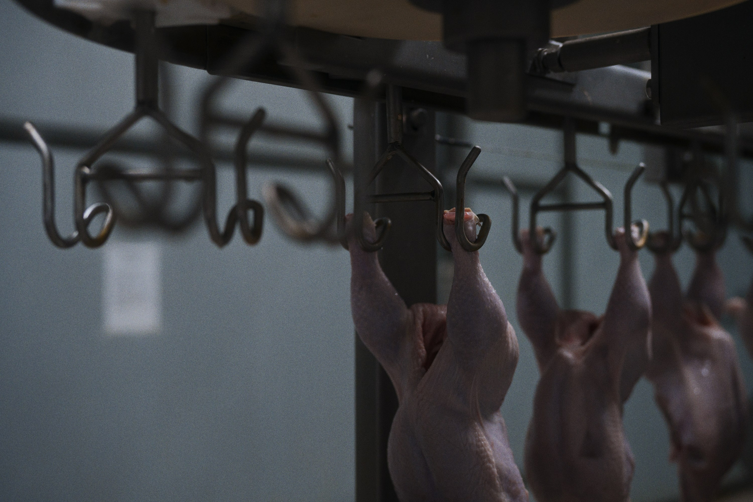 Can you tell a green field from a cold steel rail?. Фотограф Юрин Евгений