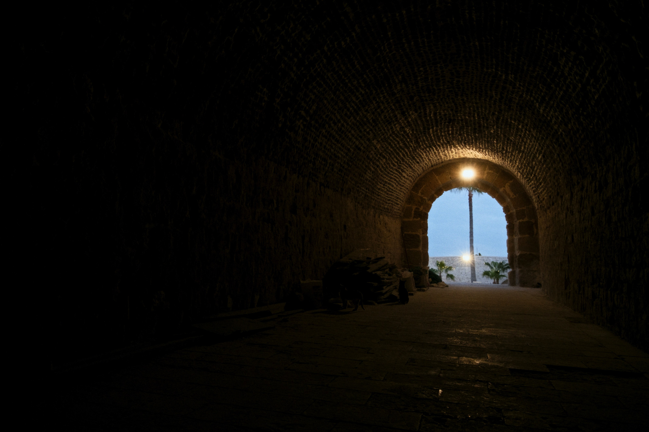 Alexandria / Egypt AW25. Фотограф Юрин Евгений