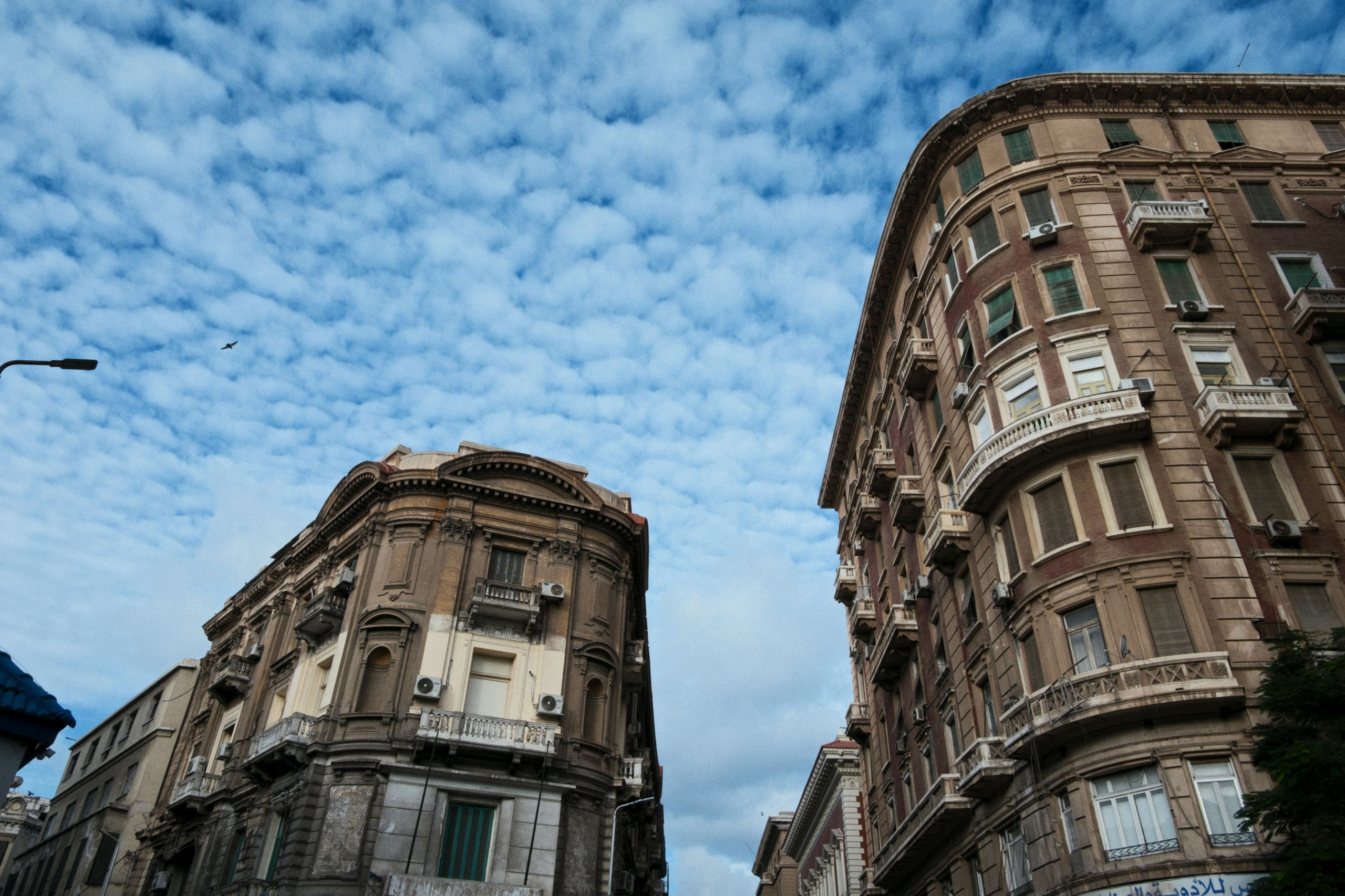 Alexandria / Egypt AW25. Фотограф Юрин Евгений