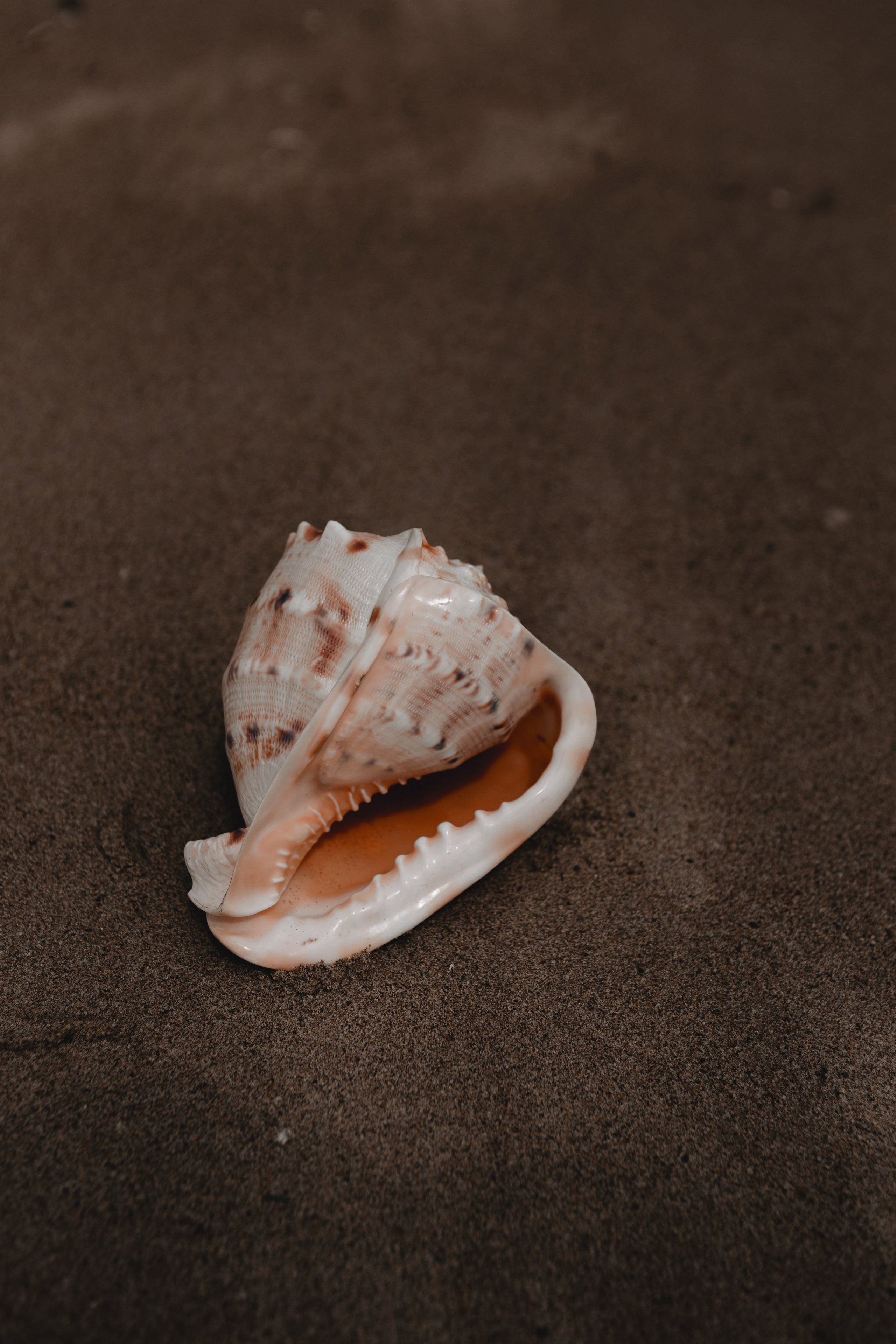 Женская портретная съемка на природе. Фотограф Сахалин