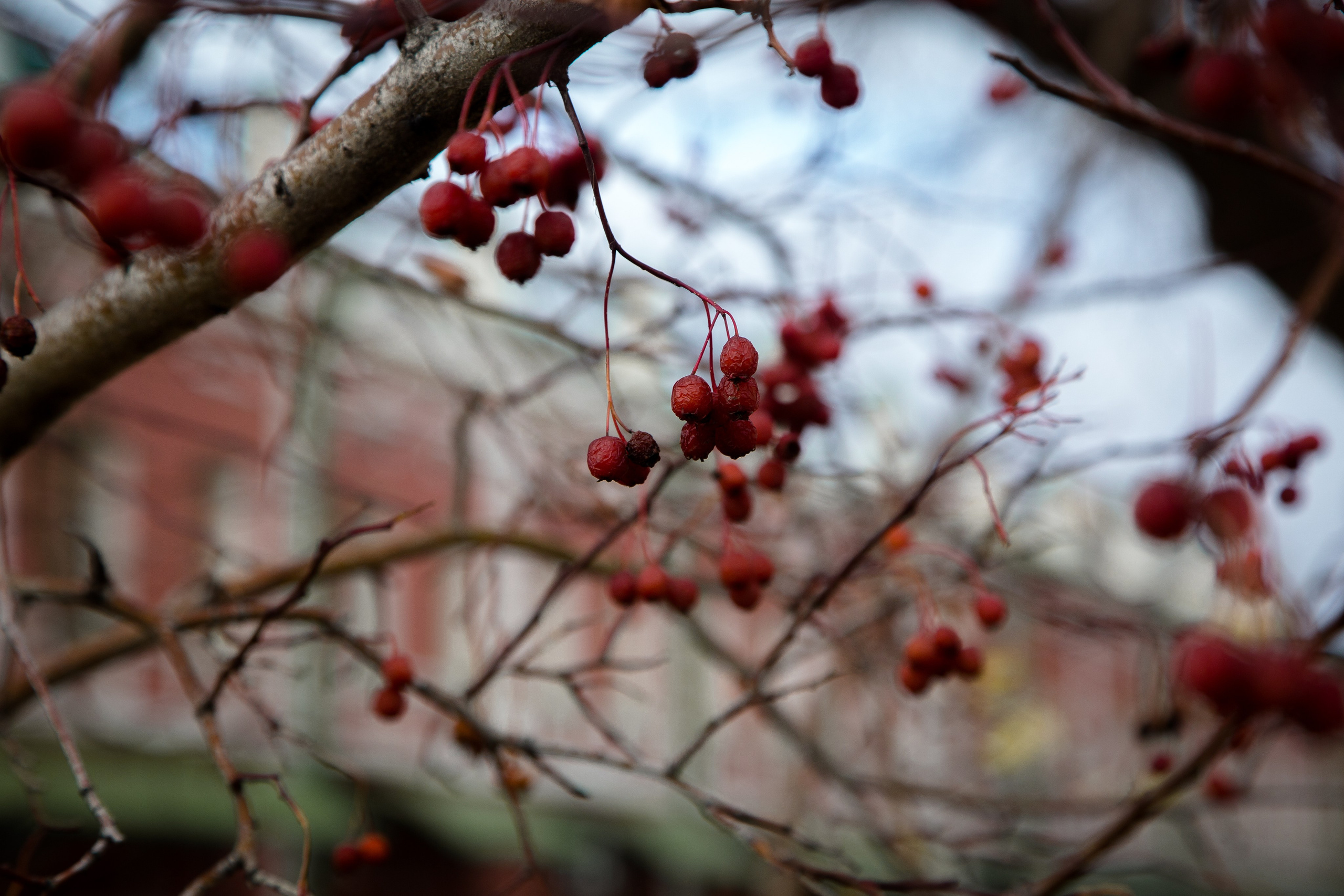 Старый Оренбург. Ваш фотограф в Оренбурге Рощупкина Екатерина