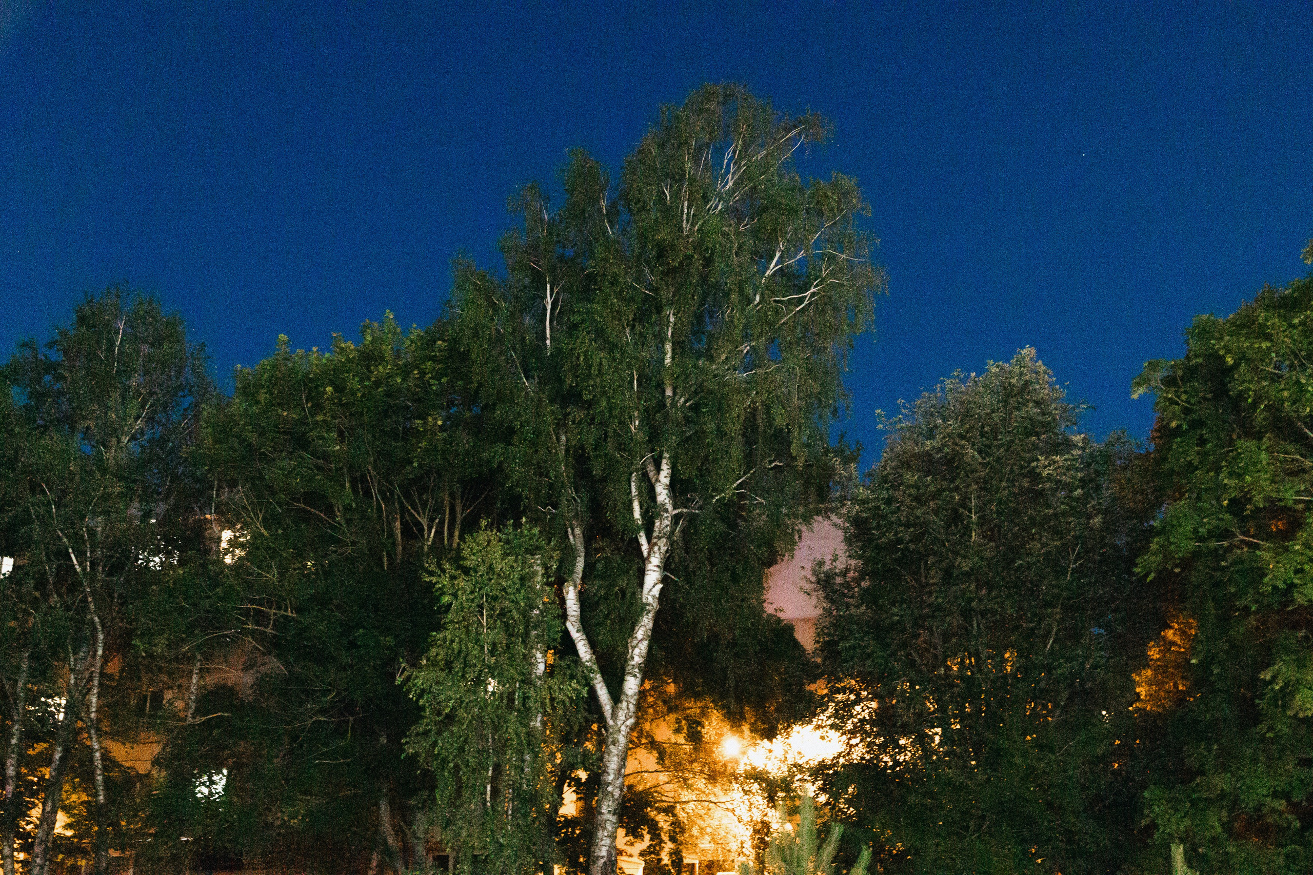 Вручение аттестатов. Свадебный фотограф Роман Еремеев