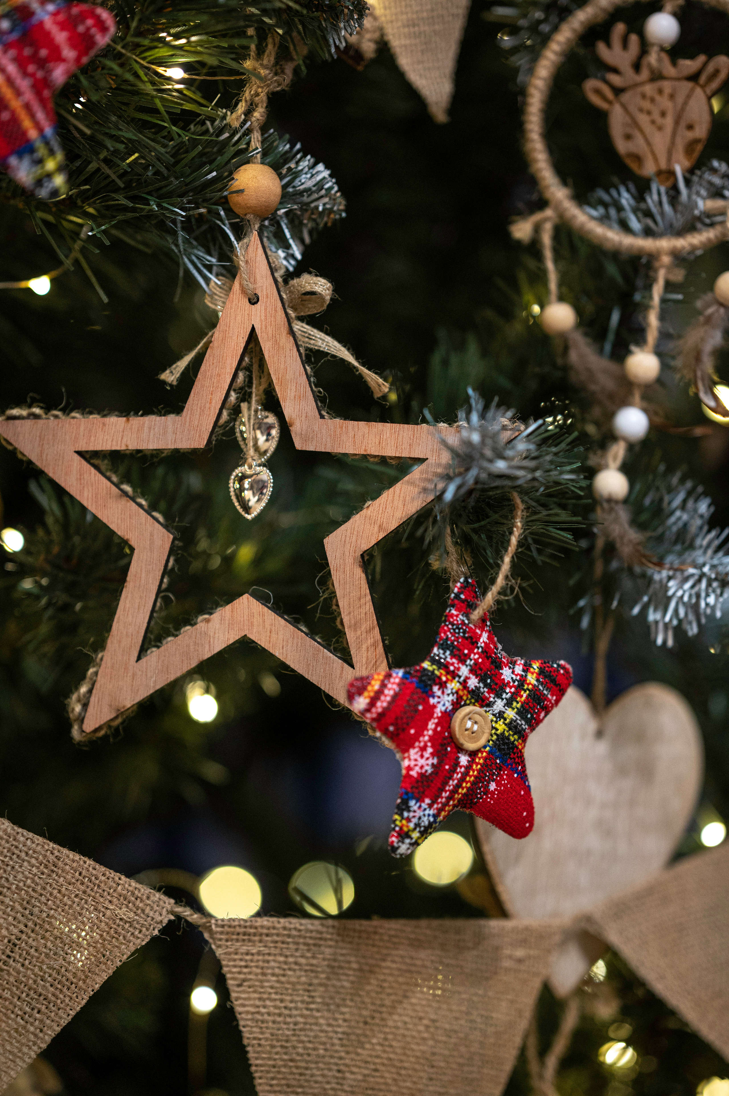 Феникс. Семейный фотограф Казакова Дарья