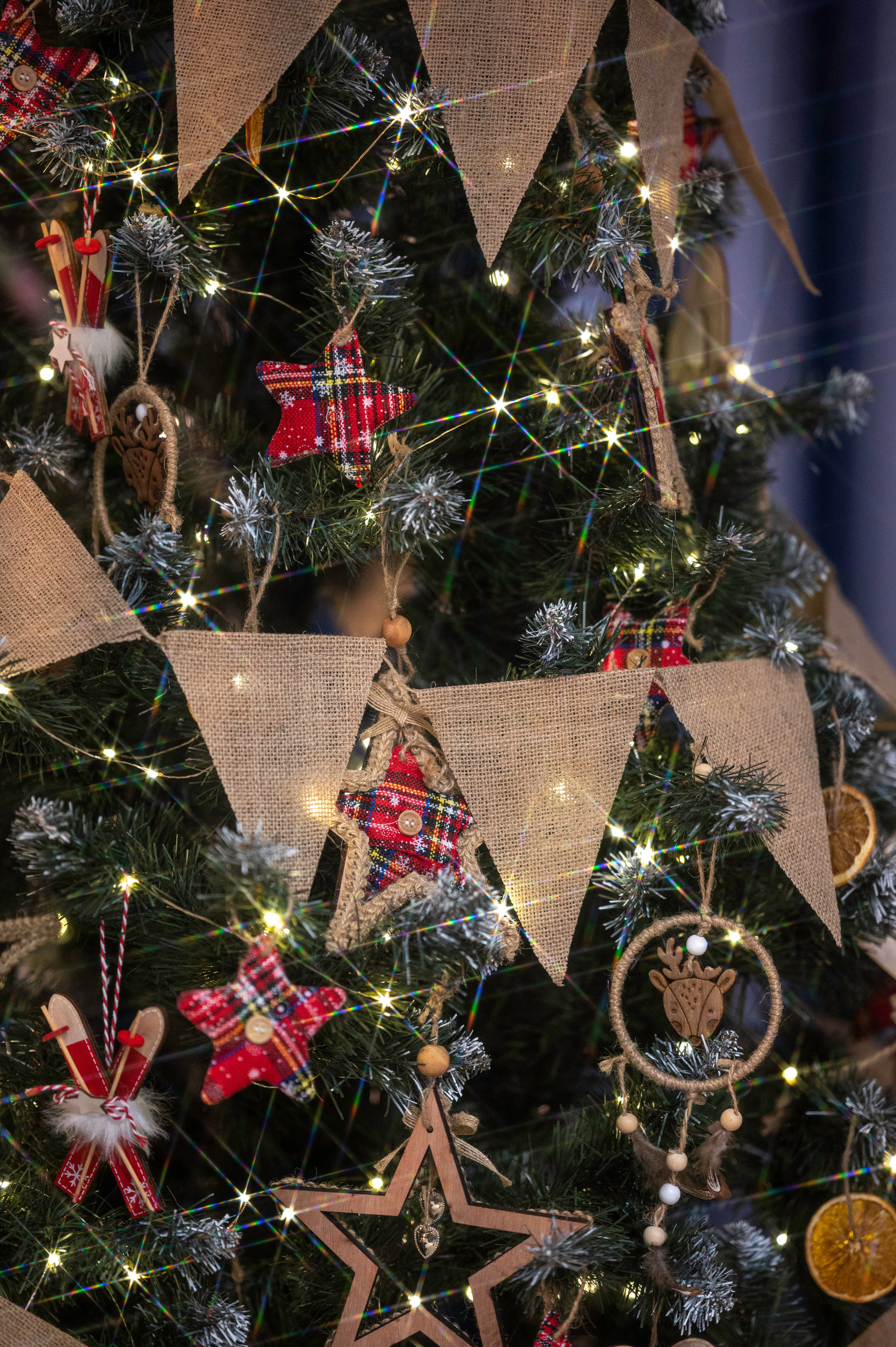 Феникс. Семейный фотограф Казакова Дарья