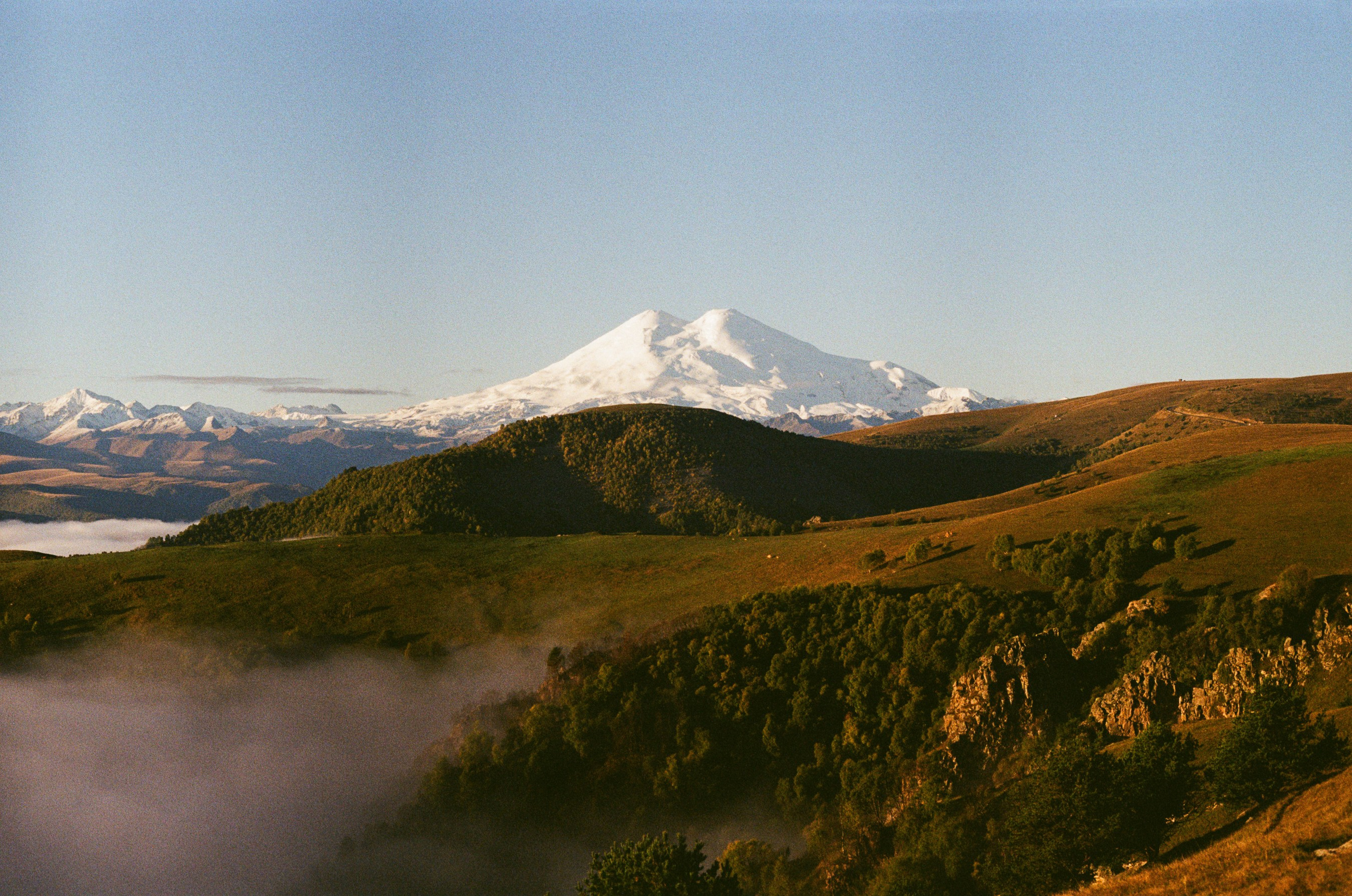 Пленочная фотография. Фотограф в Ростове-на-Дону