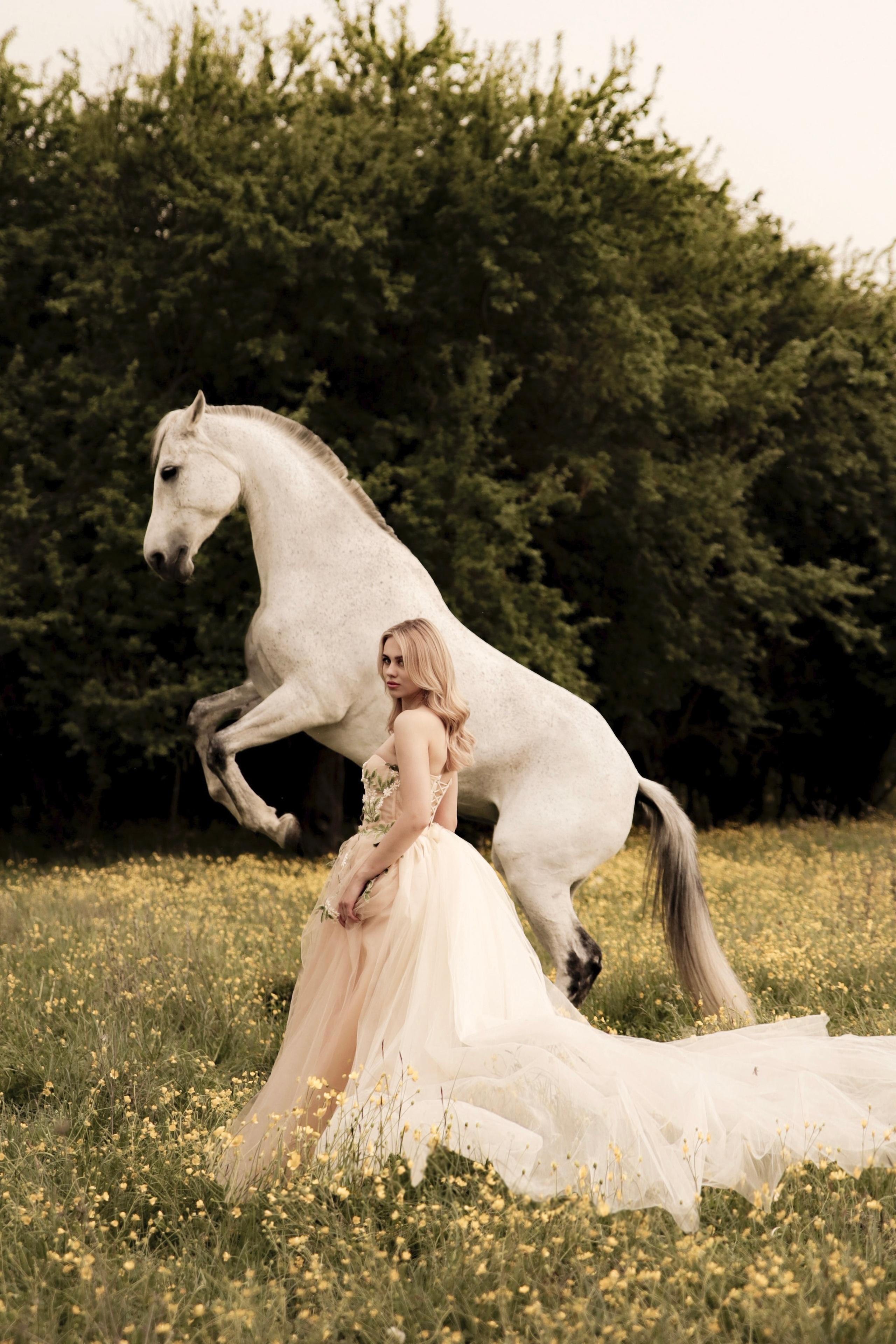 Фотопроект с трюковой лошадью Куклой. Семейный и конный фотограф в Краснодарском крае и Адыгее