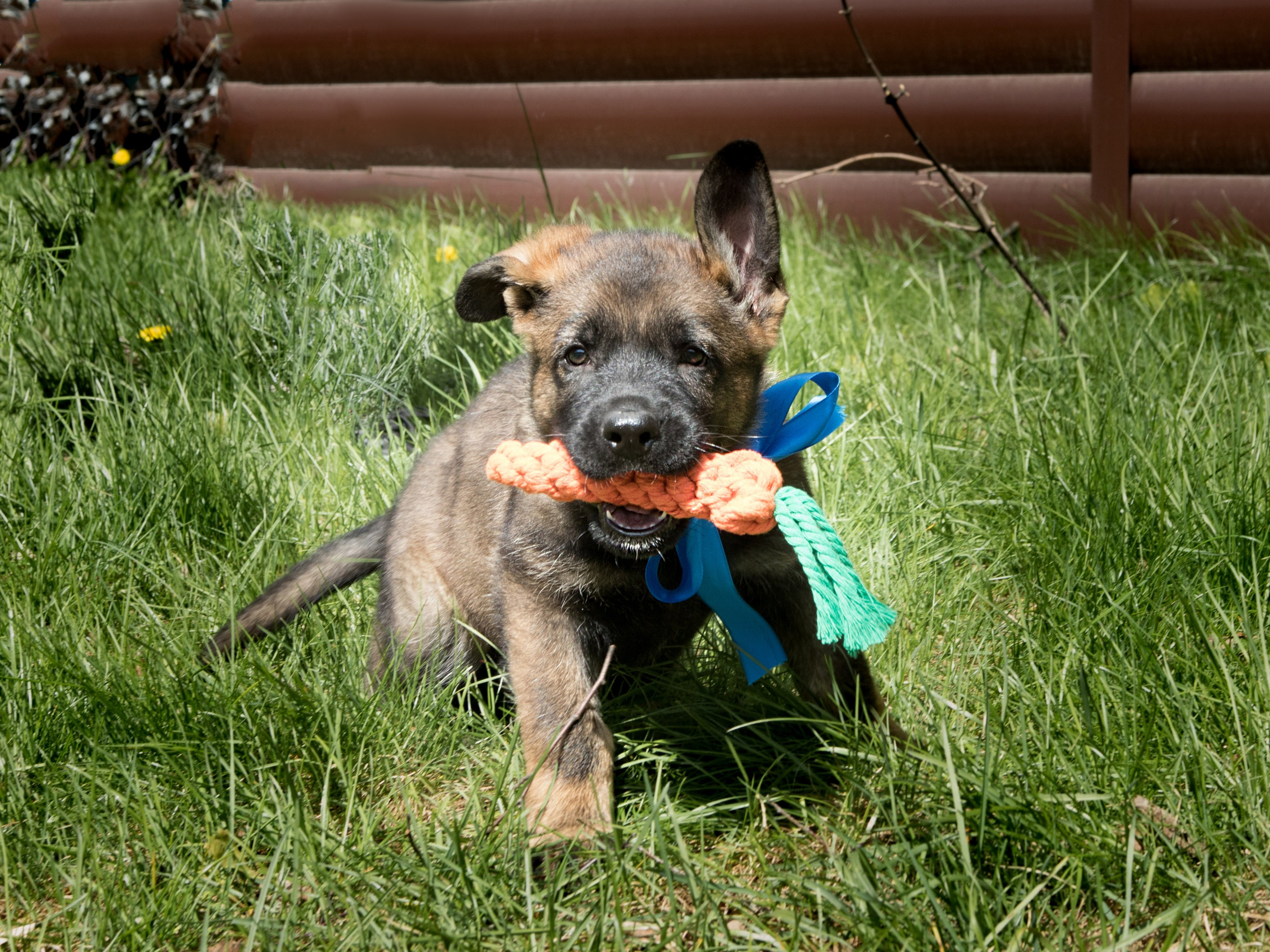 Детская фотосессия. Школьный и детский фотограф в Москве Федосеева Ольга