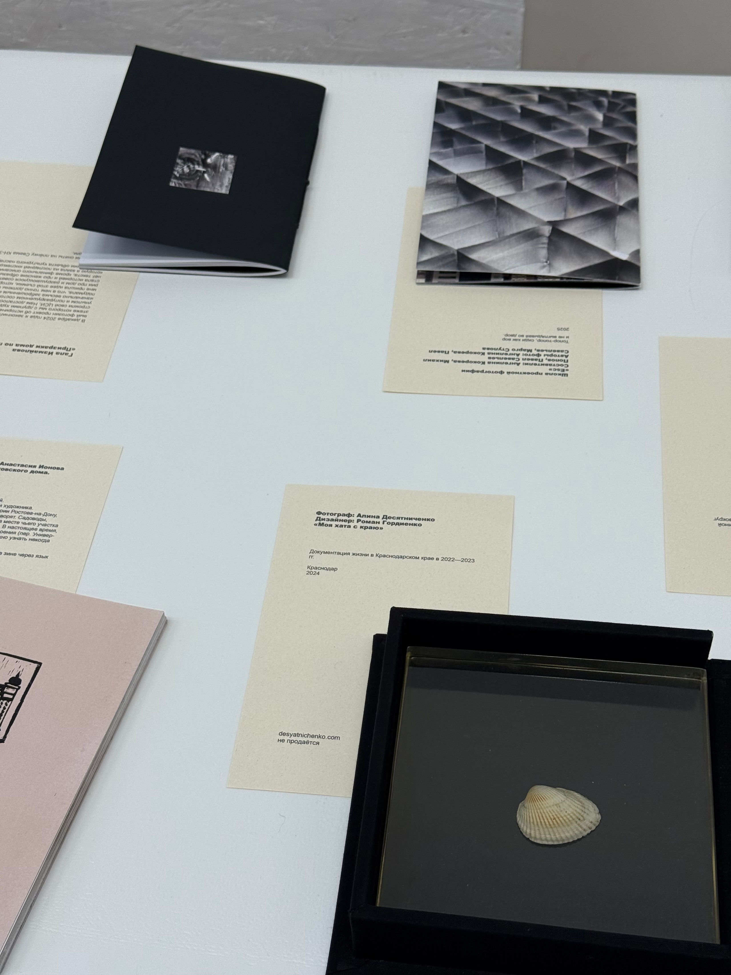 Жердёла 2025 Волгоград. Лера Круглова