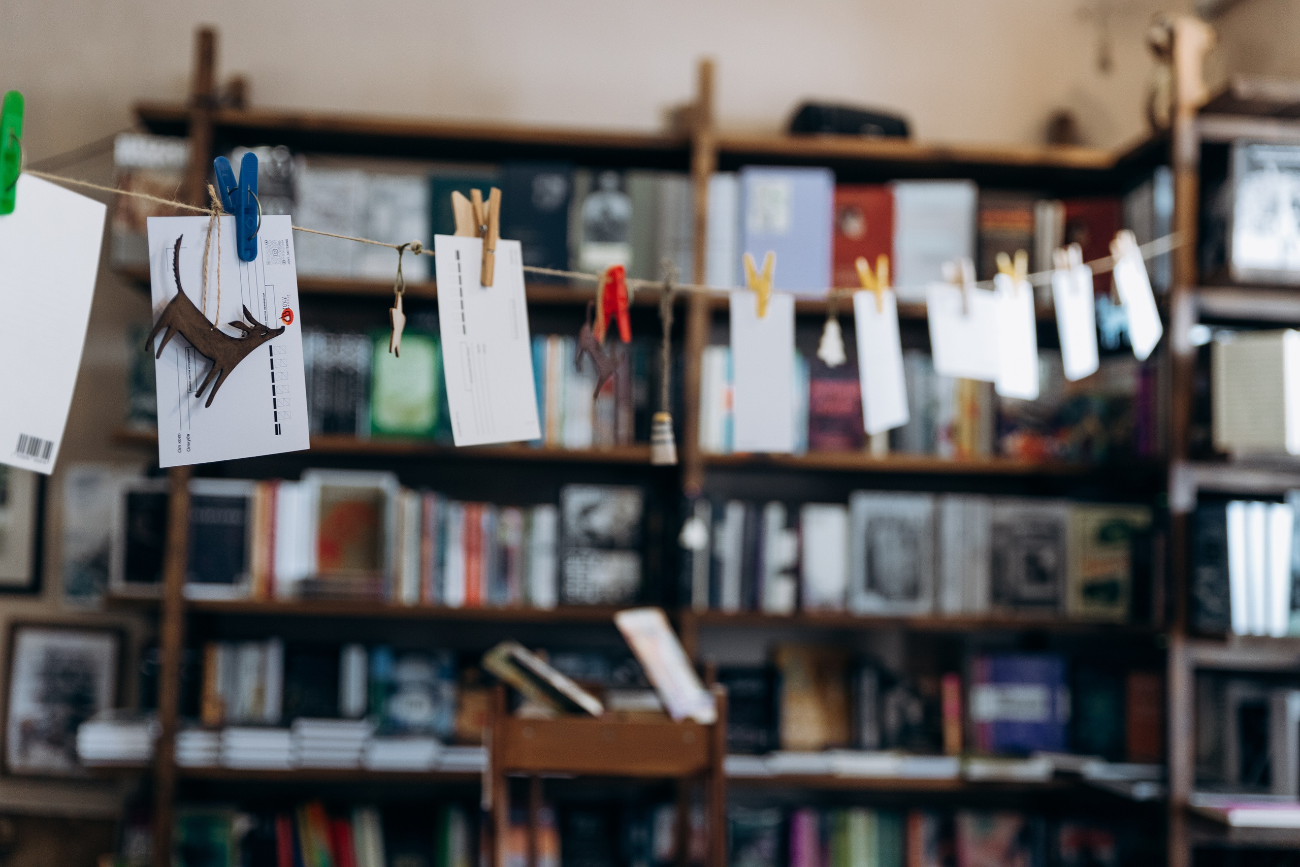 Презентация фотокниги «Beetlemania», 21.01.2024, г. Краснодар, независимый книжный «Чарли». Лера Круглова