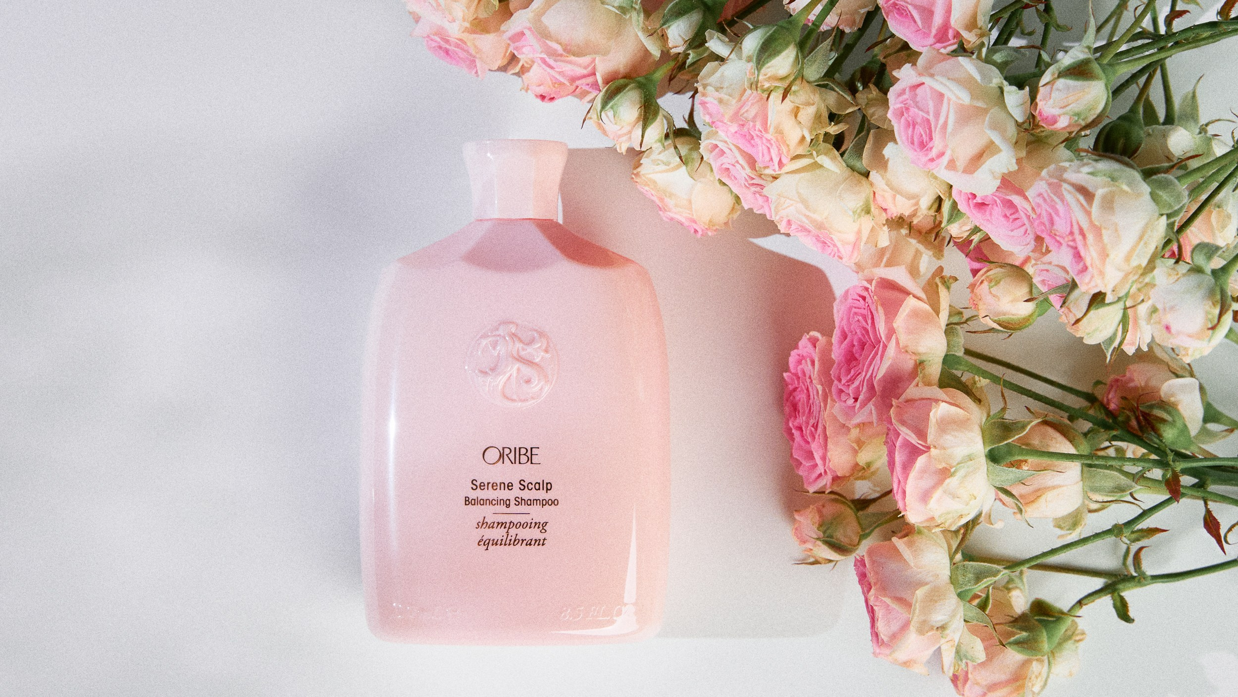 Предметная съемка. Фотограф и видеограф Андрей Яшин — фуд, предметная и портретная съёмка в современном стиле