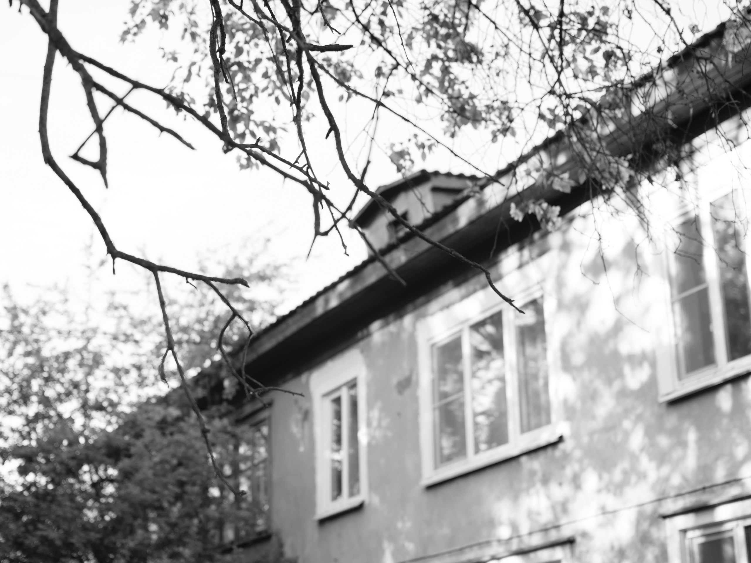 Фотогпрогулка