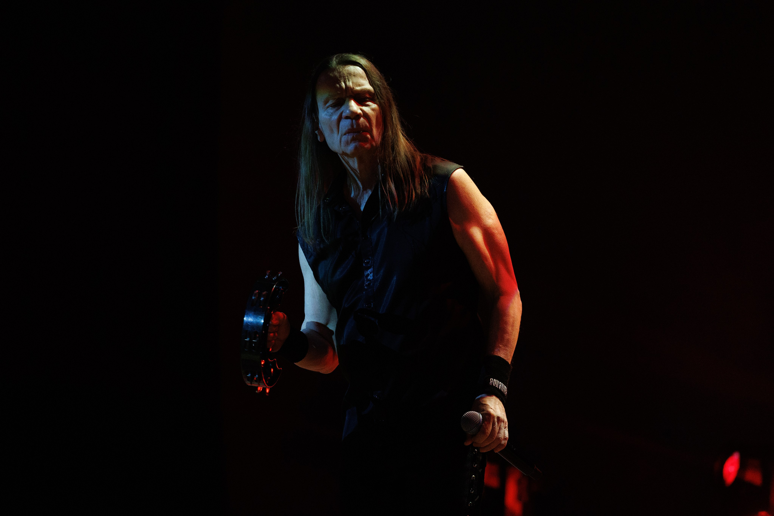 «КИПЕЛОВ». Photomantis