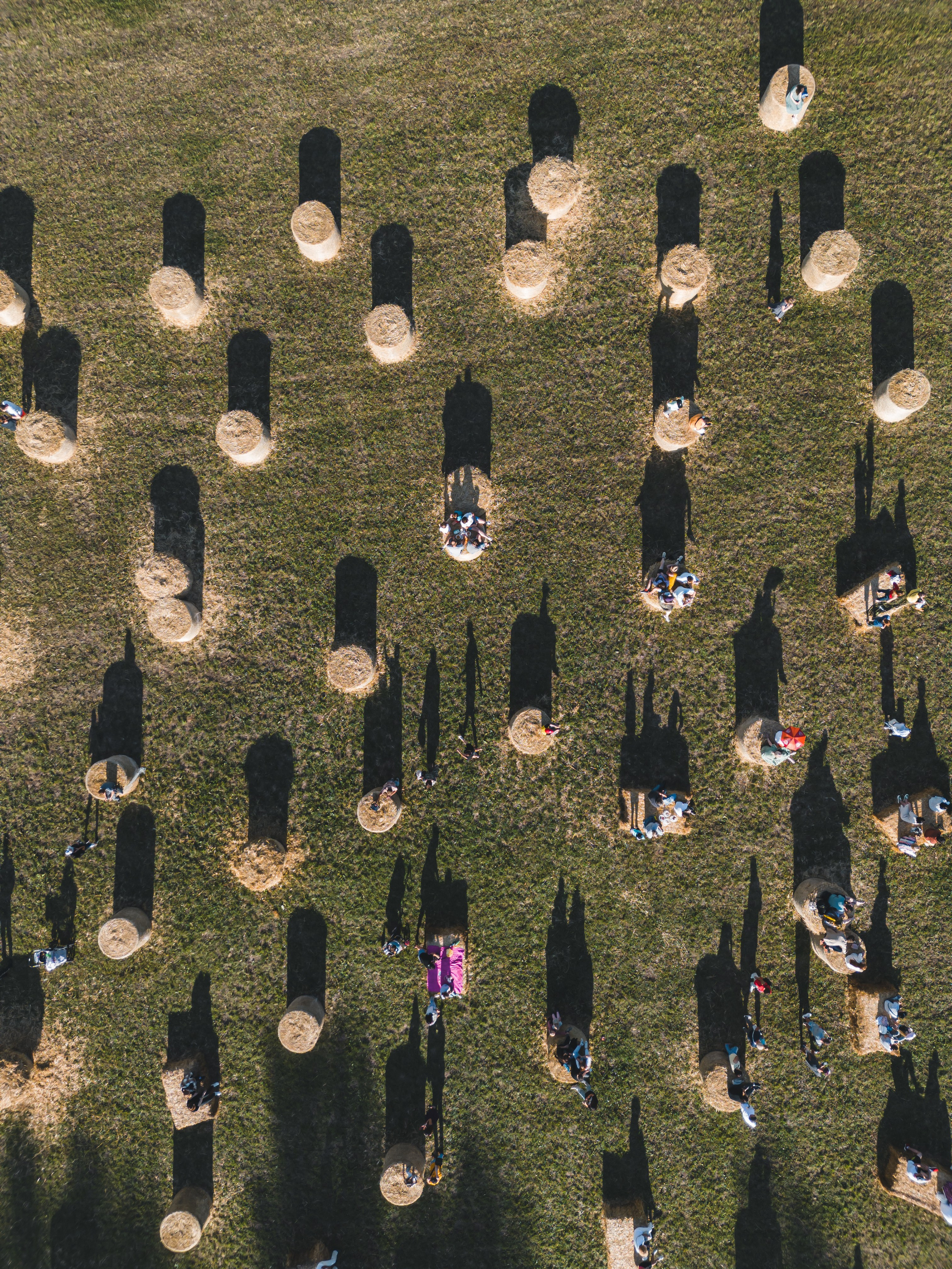 Общественные и культурные события. Наталья Летунова — репортажный фотограф