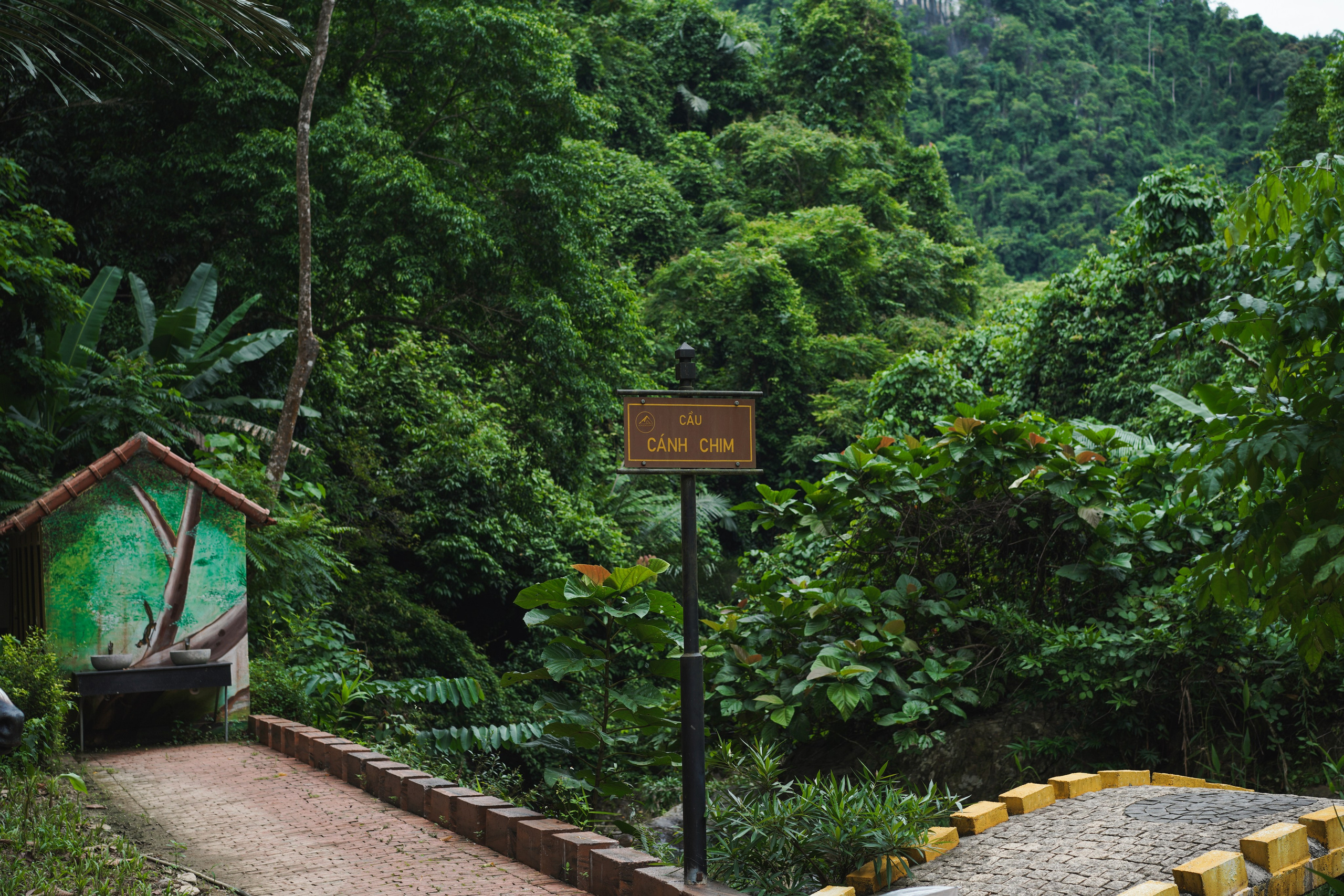 Небесные врата Донг Зянг Дананг. Фотограф Сергей Кишкель Дананг Нячанг Фукуок