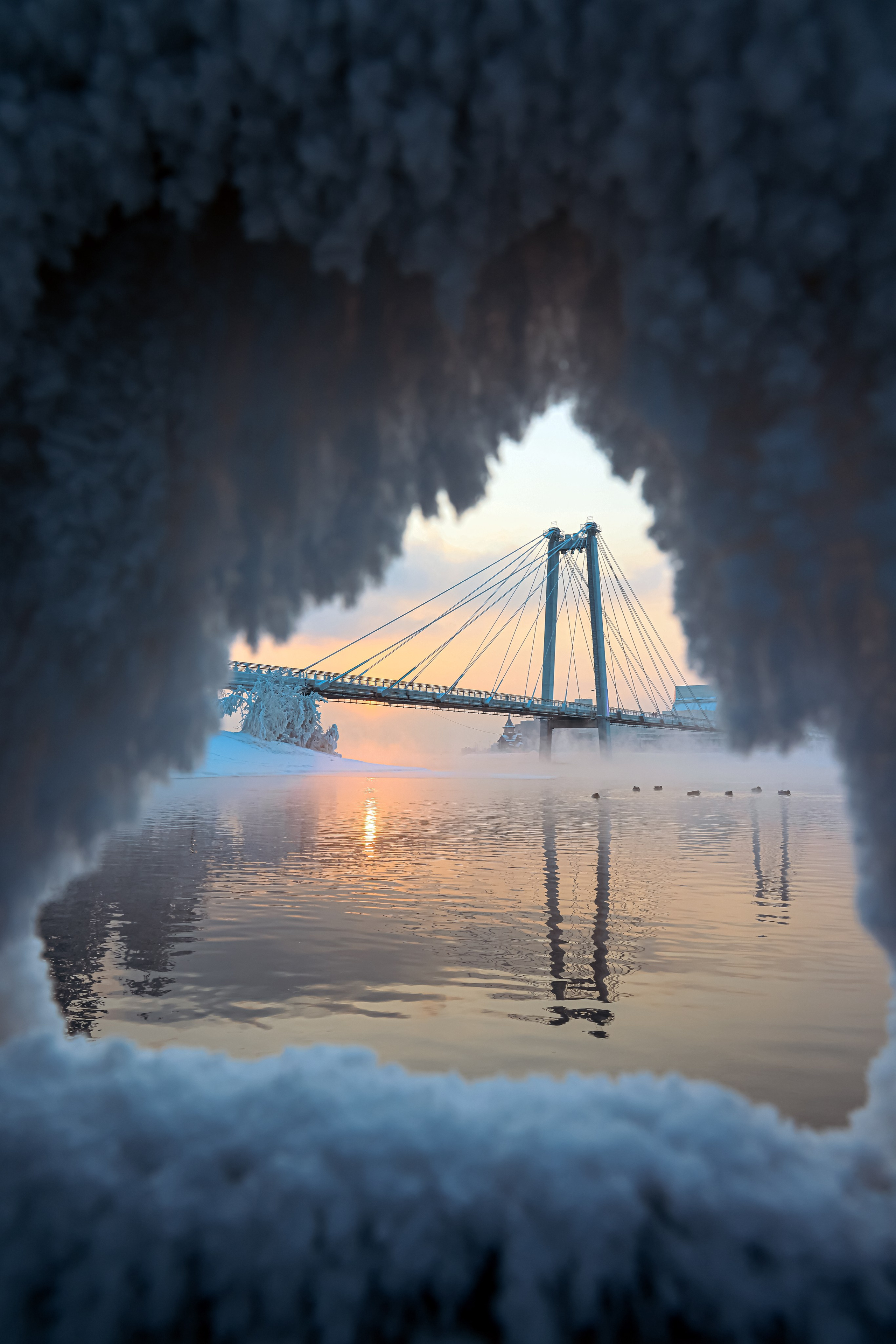 Мир вокруг нас. Разное. Фотограф Наталья Кузьмик г. Красноярск