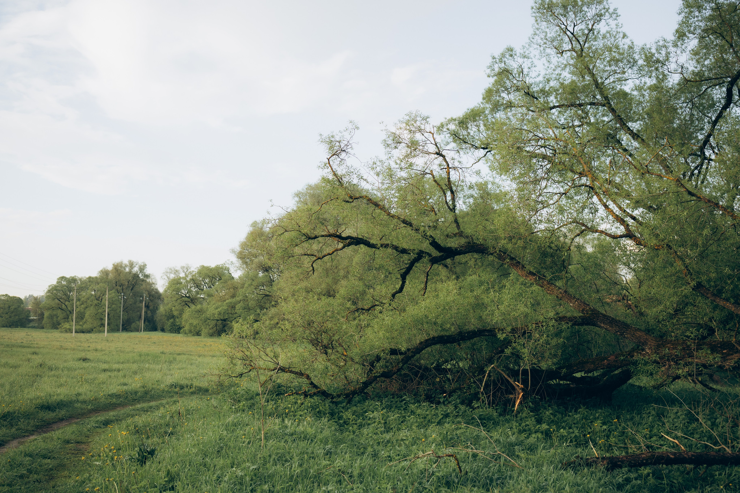 Istra. Женский фотограф Истра