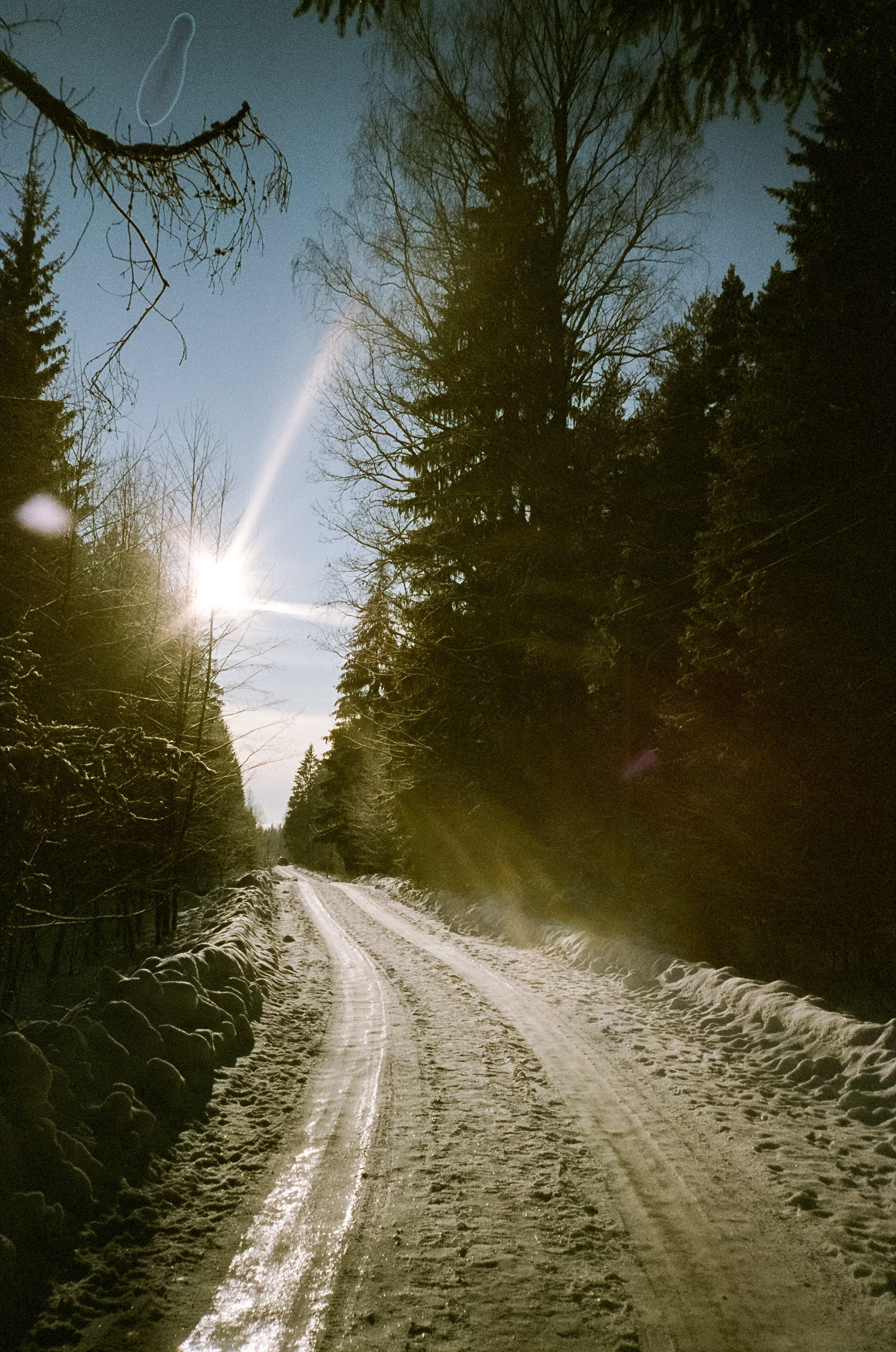 Chinon Auto 3001 (2) / Fuji Eterna 250D (ISO 100) / Давыдовское, Лукин