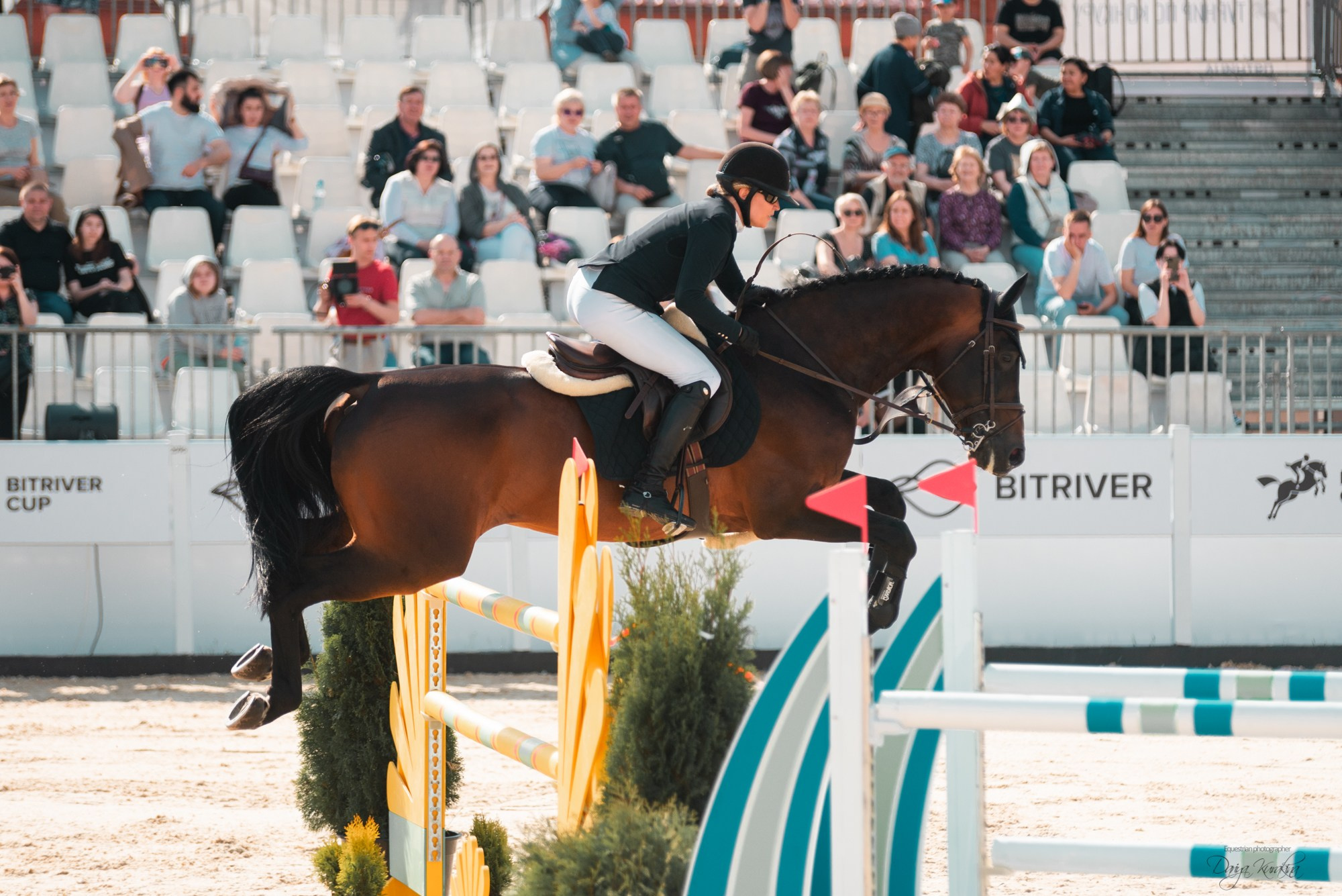BITRIVER CUP 2023. Конный фотограф Куракина Дарья • Фотосессии с лошадьми
