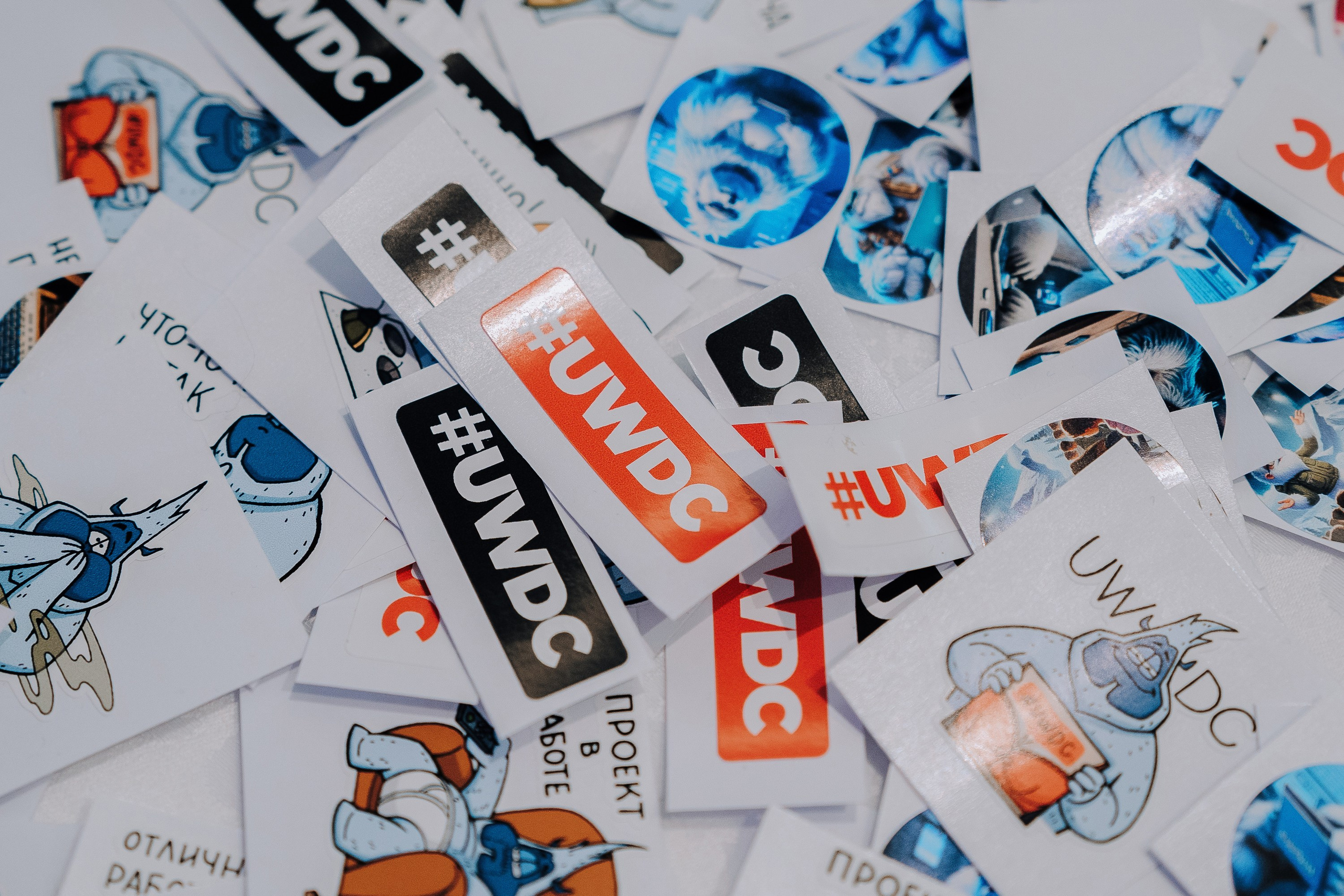 UWDC 2024. Репортажный фотограф Зуев Роман г. Челябинск