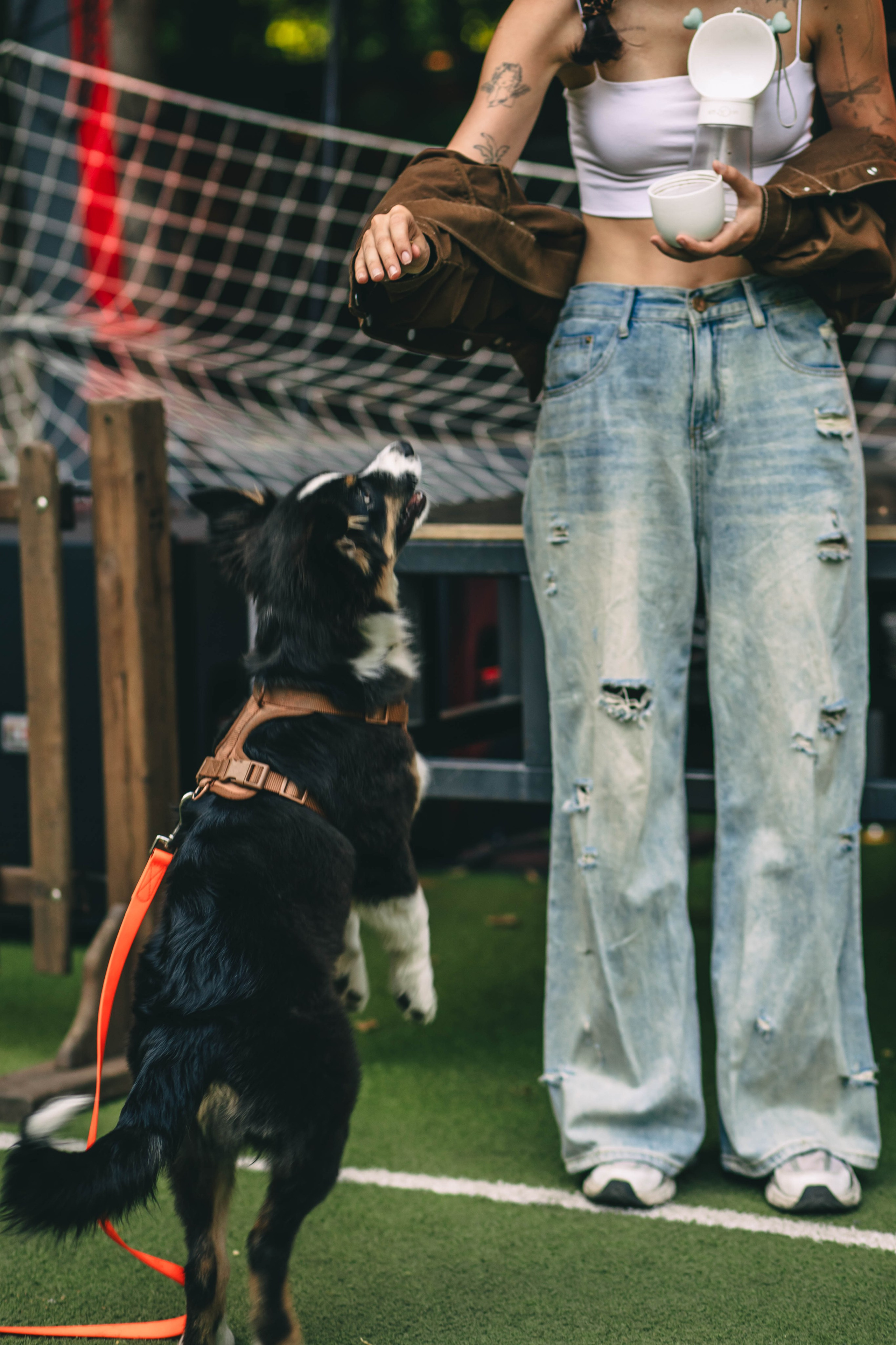 Pet-Party + Live-music |Парк Культуры. Фотограф в Ставрополе Алина Клочкова