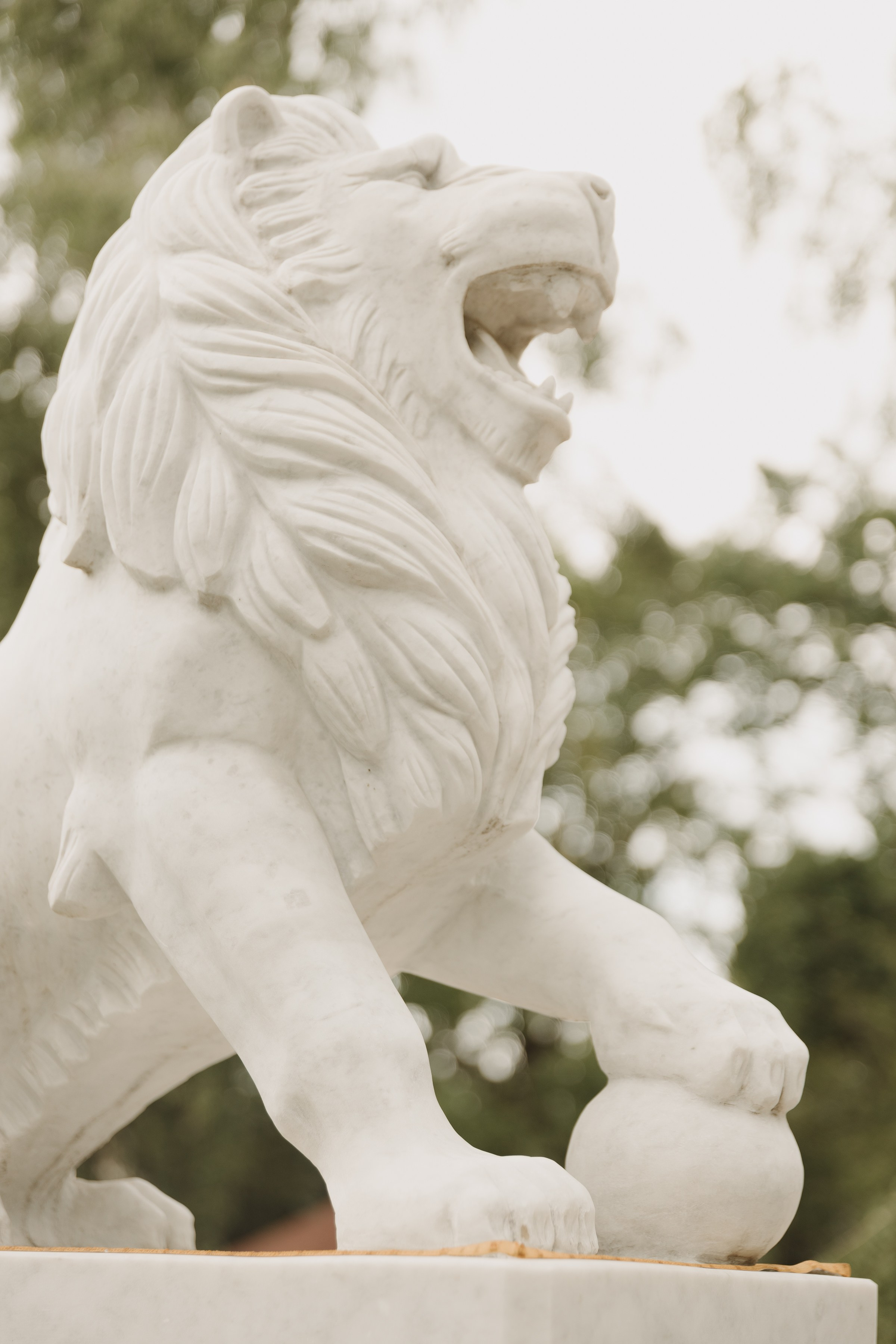 Вика & Сережа. Фотограф в Самаре Юля Борщ