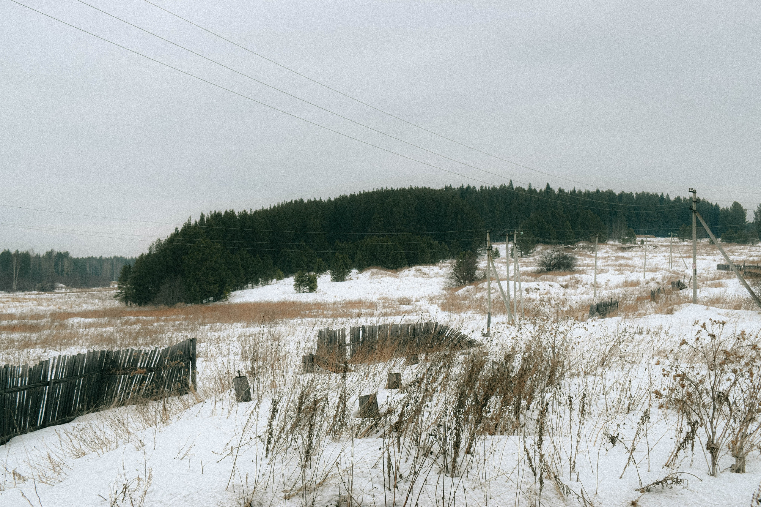 Мероприятия. Соня Мнема