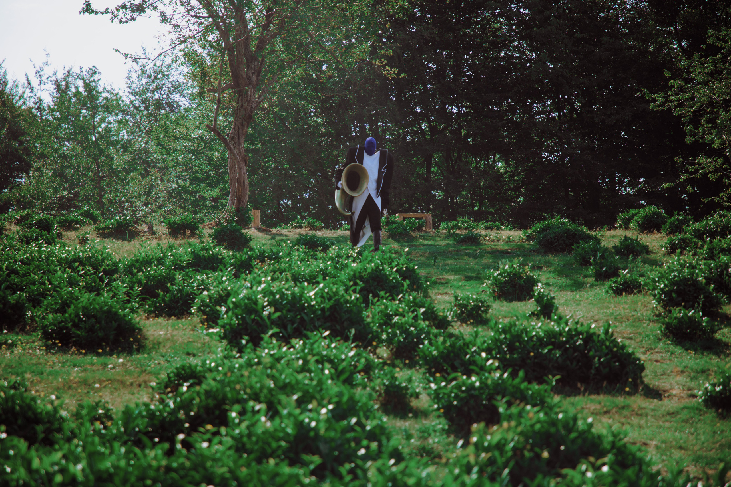 Backstage «Алиса в стране чудес». Фотограф в Москве и Санкт-Петербурге Дарина