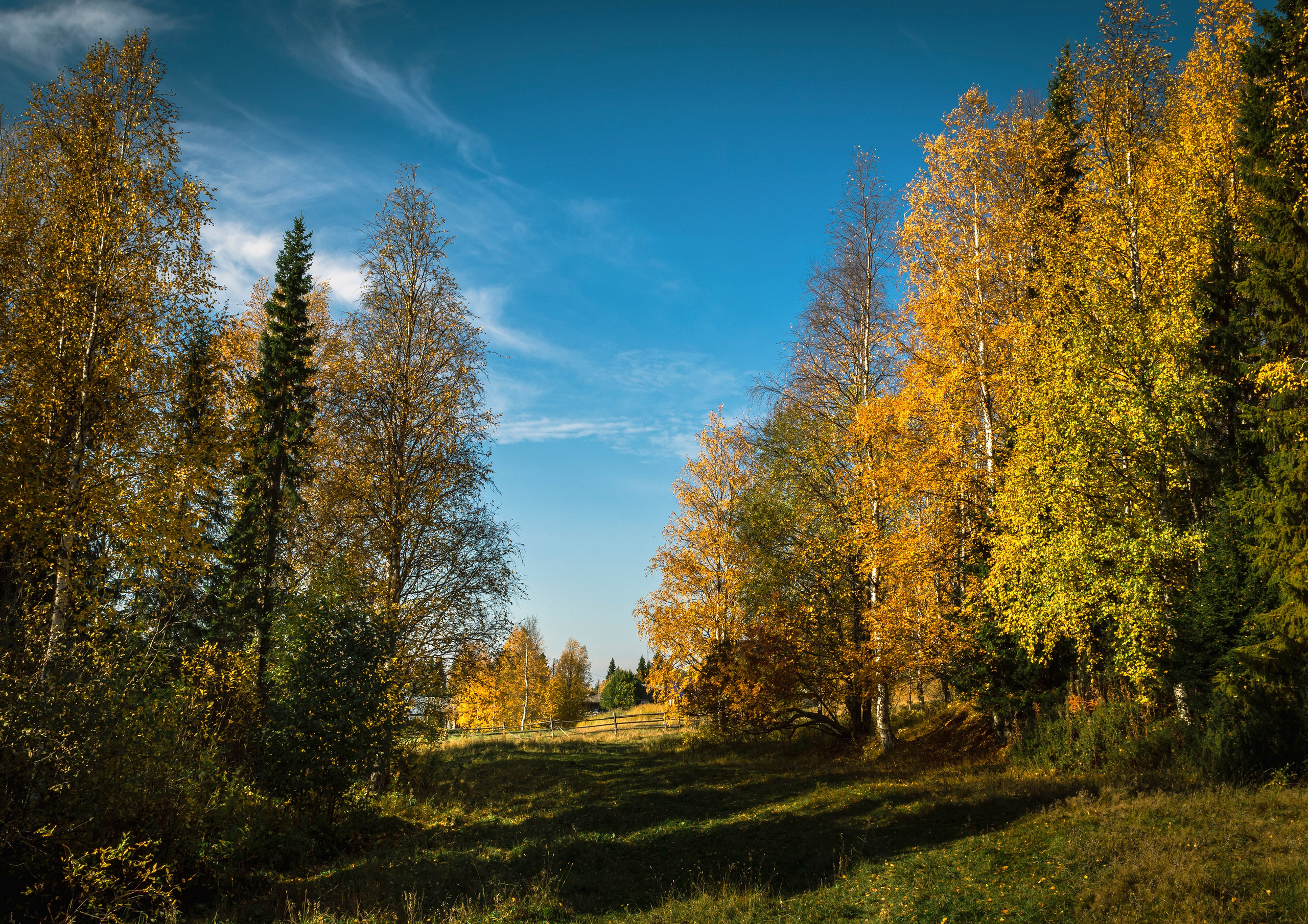 Осень. Фотограф в с. Ижма Республика Коми Терентьев Сергей
