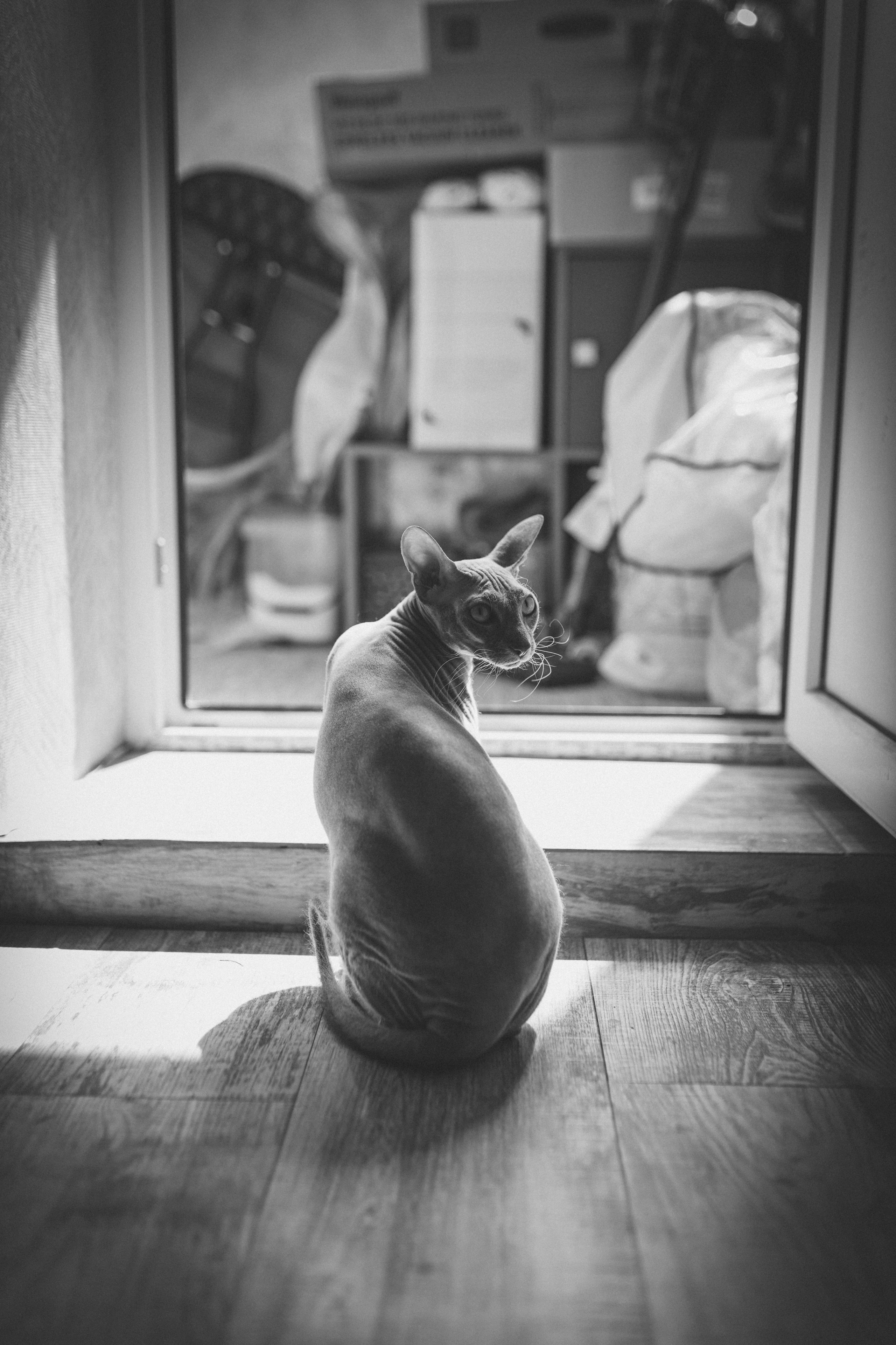 Света, Женя, Кирилл и Мышка. Семейный фотограф и фотограф на роды в Ростове-на-Дону Мухина Виктория