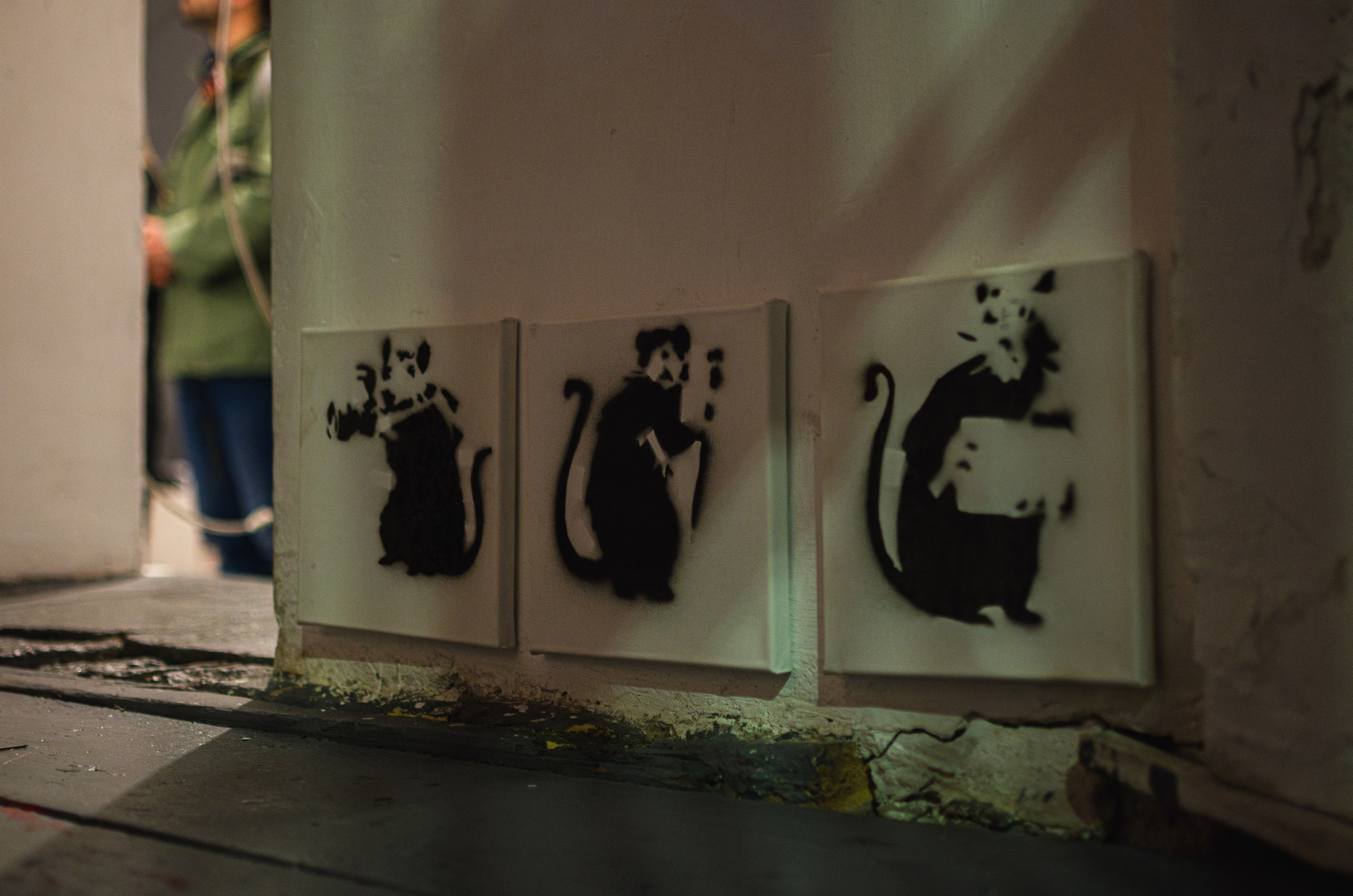 Banksy exhibition Belgrade. Event photographer Alena Iurchenko