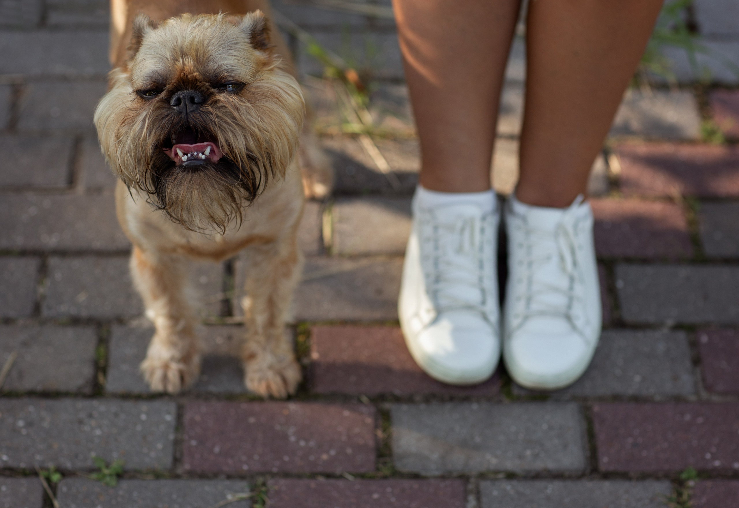 Лена и Барри. Фотограф — Анималист Наталья Тямушева