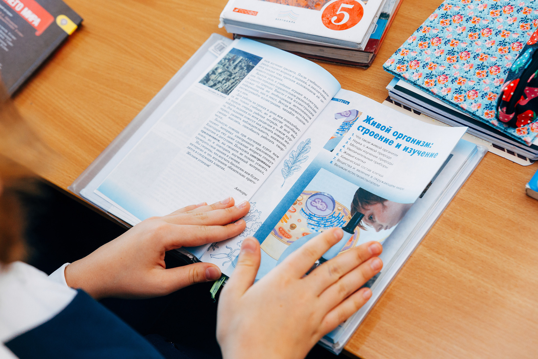 Младшие классы. На уроке