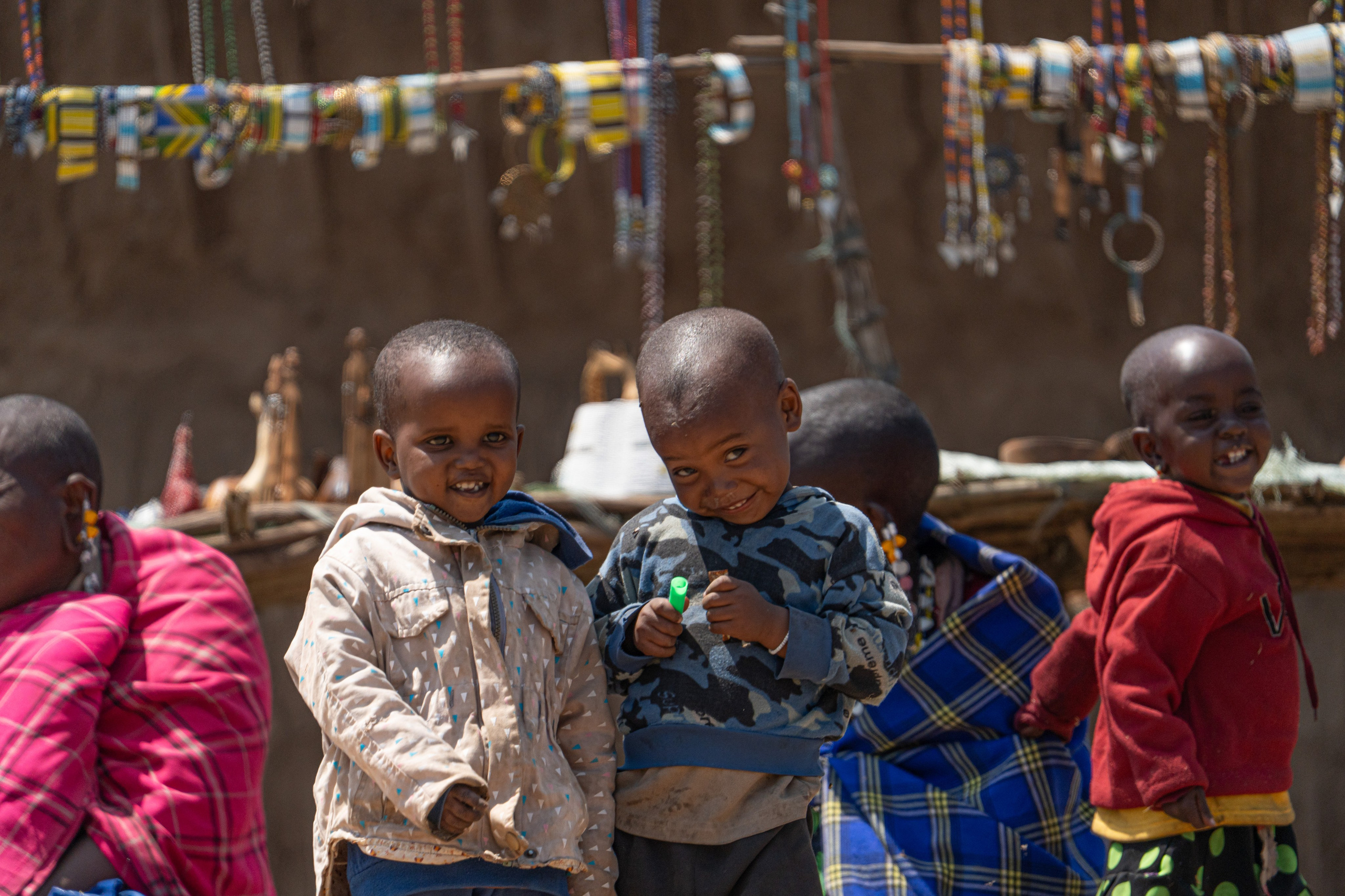 Танзания, сафари, 2025. Творческие сьемки