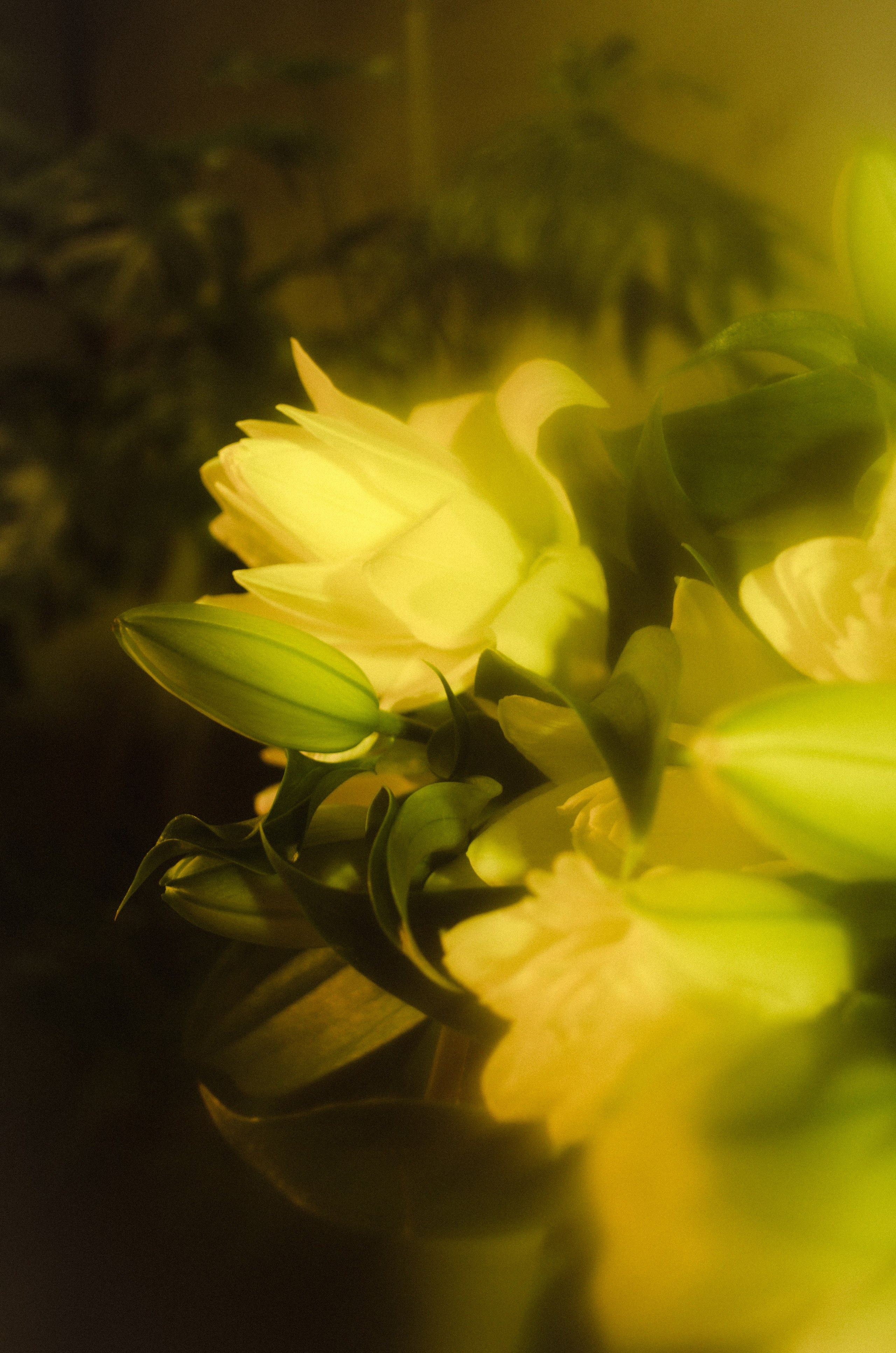 Дарья. Фотограф Валерия Пэун