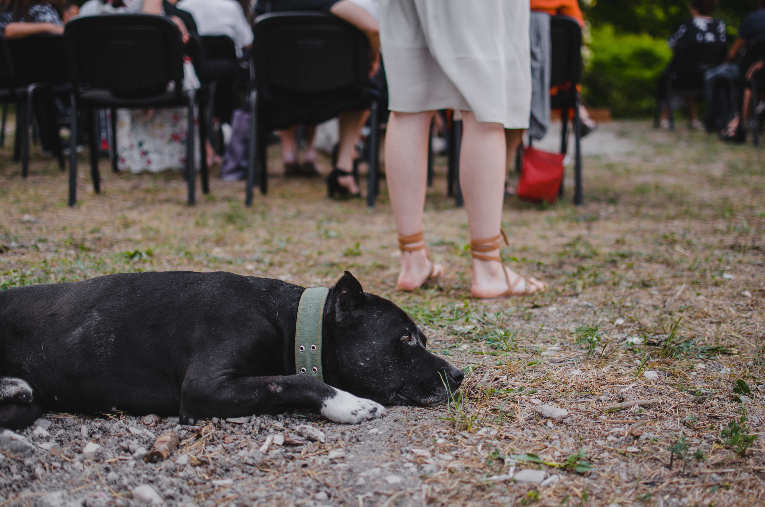 Свадьба Даниил и Светлана. Фотограф Галя Пак