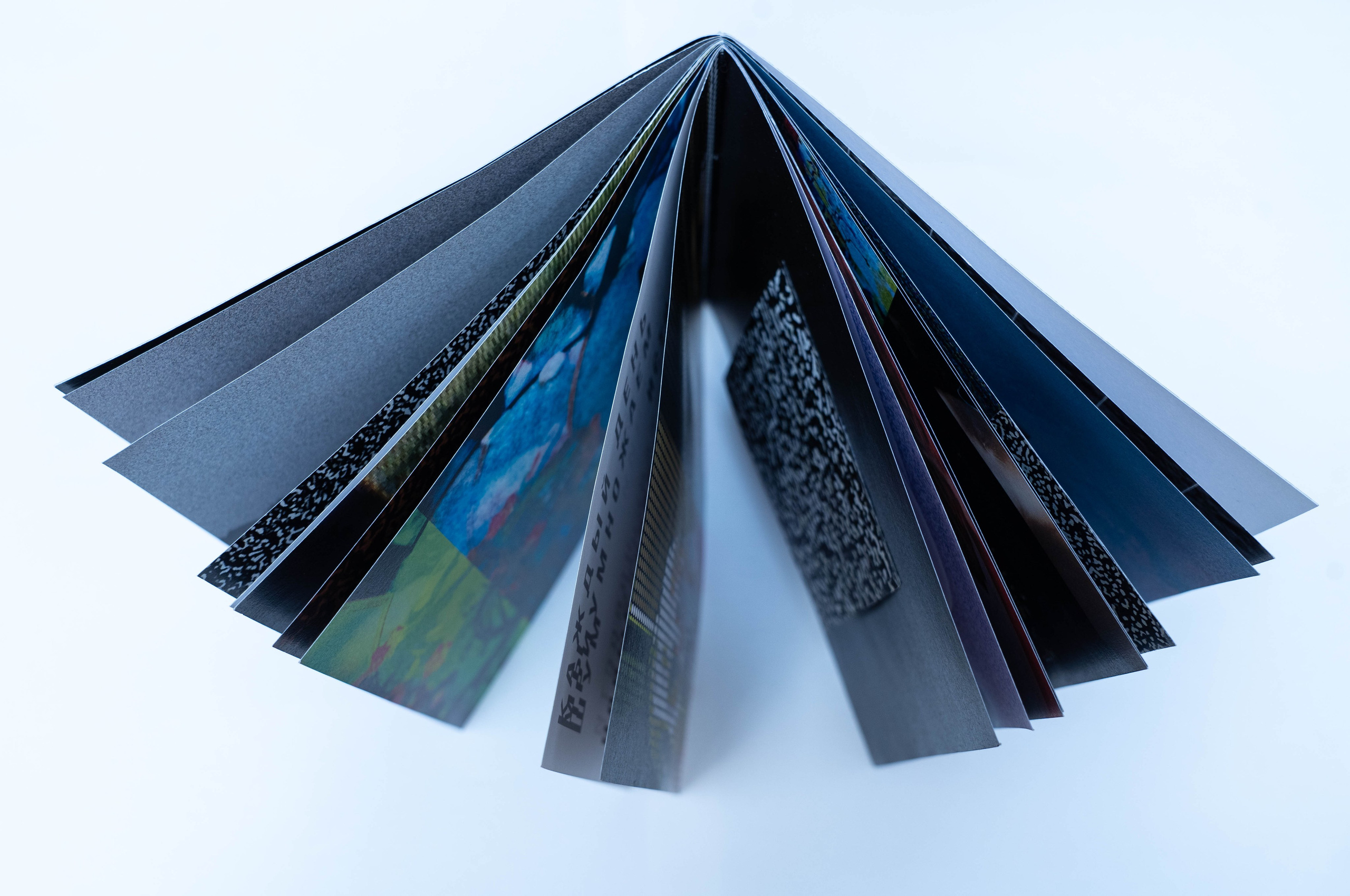 Шум. Катерина Эделева