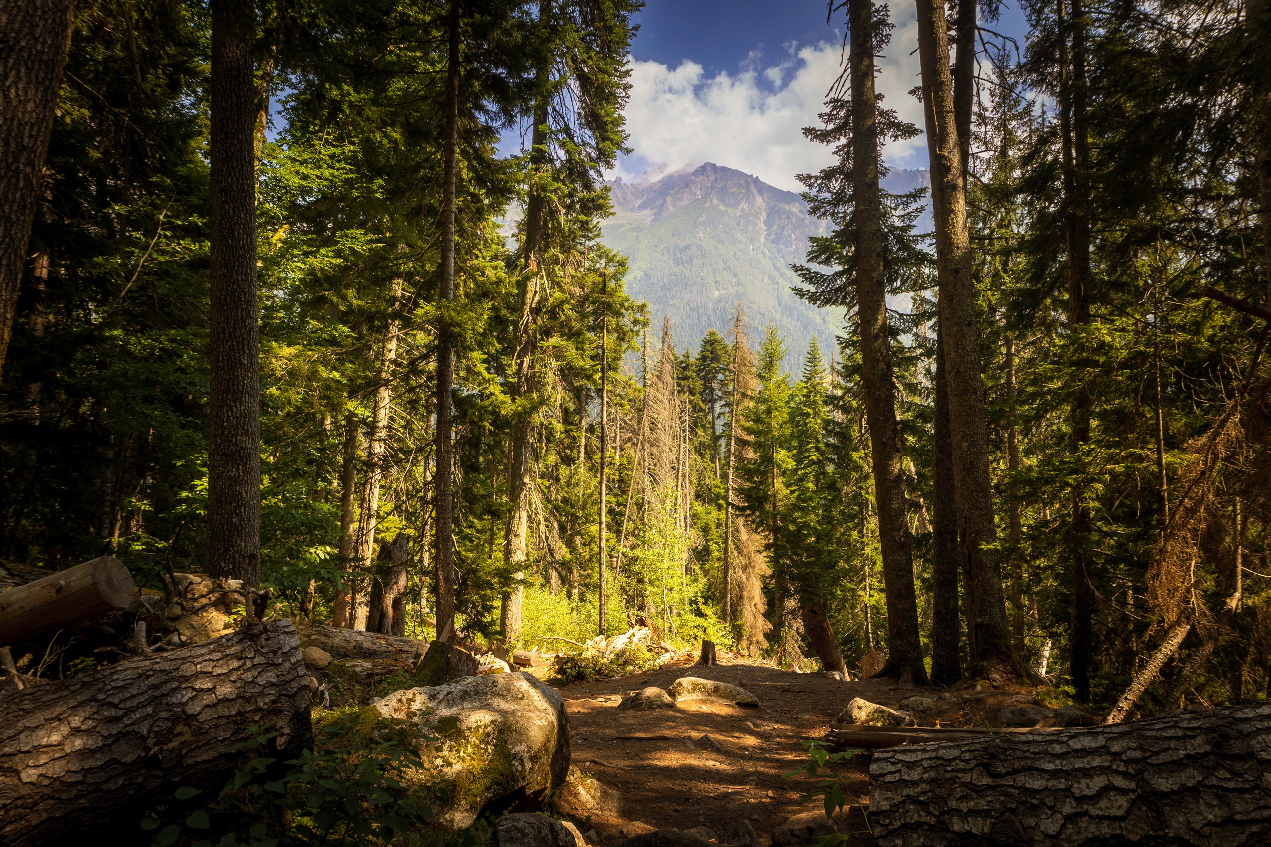 Природа. Фотохудожник Артём Парамонов