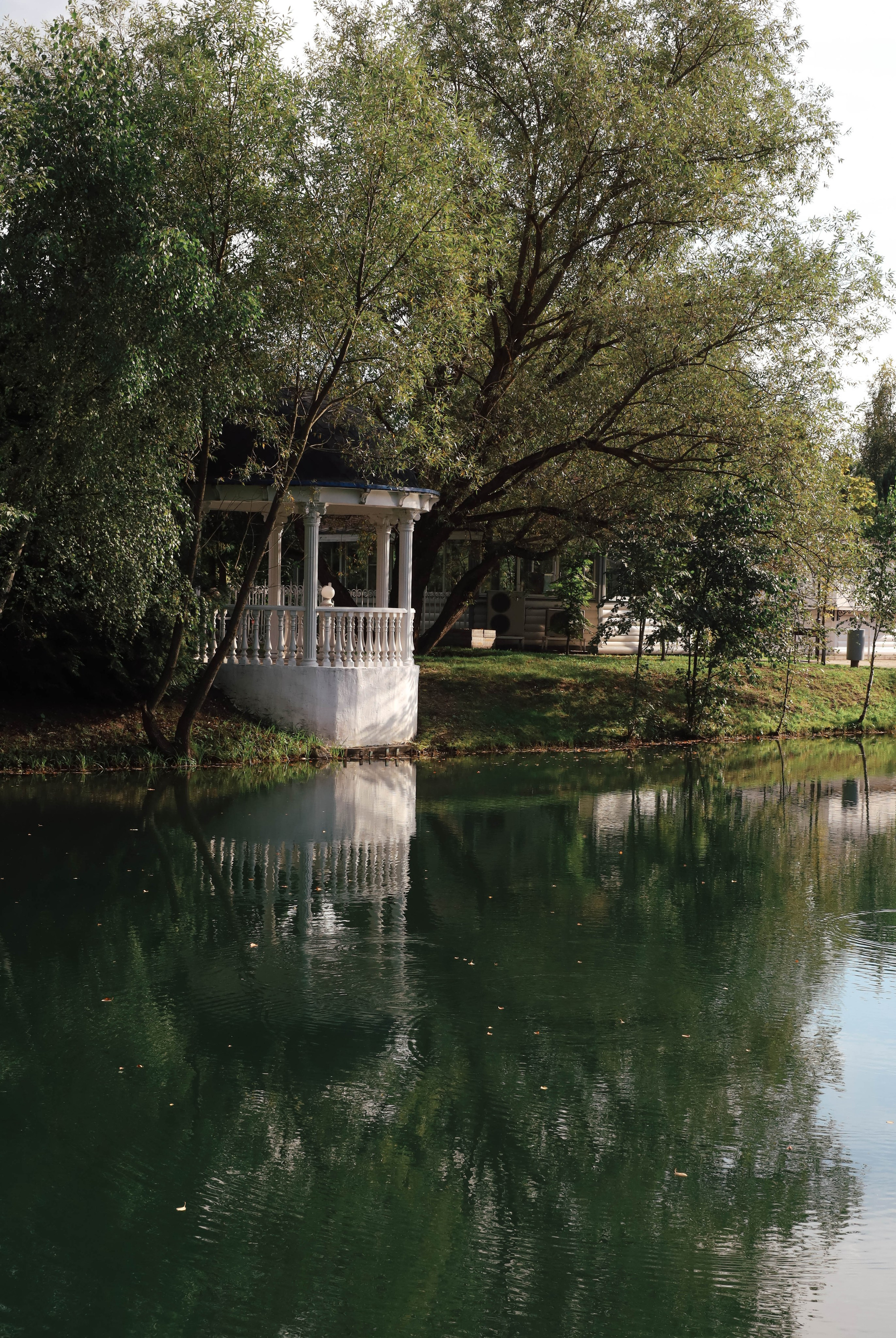 Свадьба Тани и Михаила. Фотограф Химки Анна Татарских