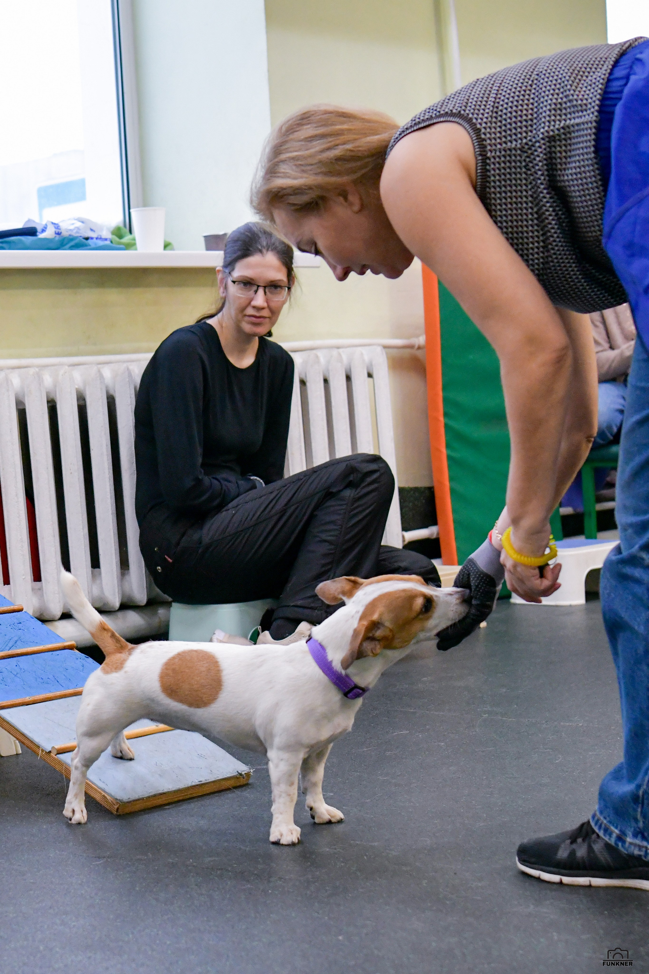 Кинологический клуб «Бодрый хвост». Свой взгляд через объектив