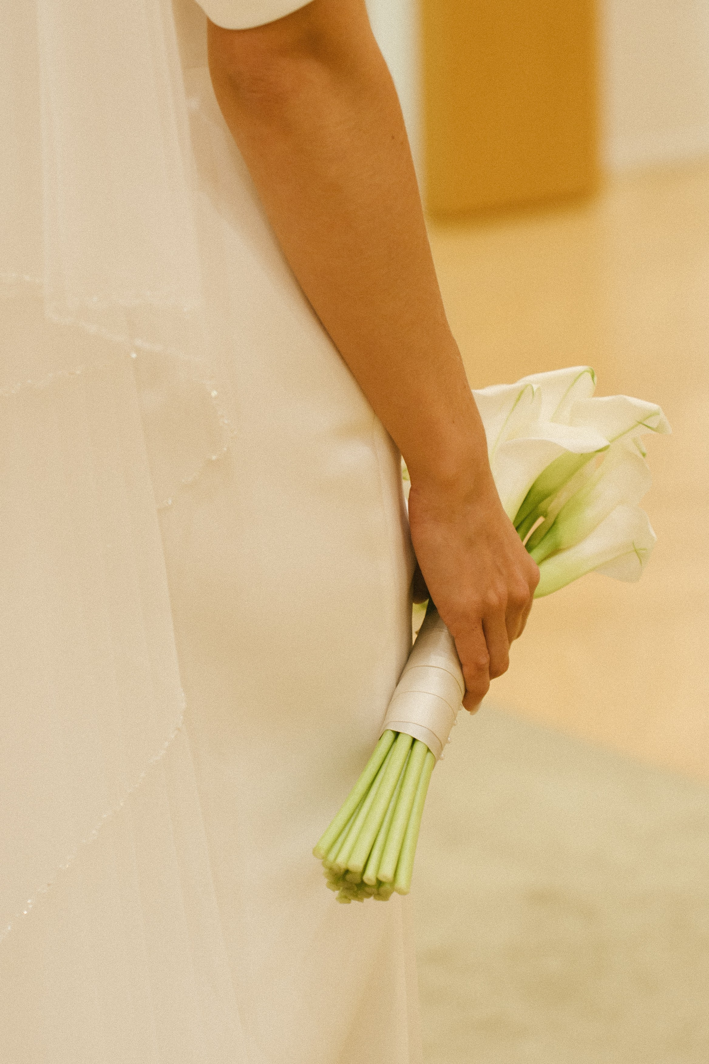 Alexandr & Valeria. Свадебный и семейный фотограф Москва