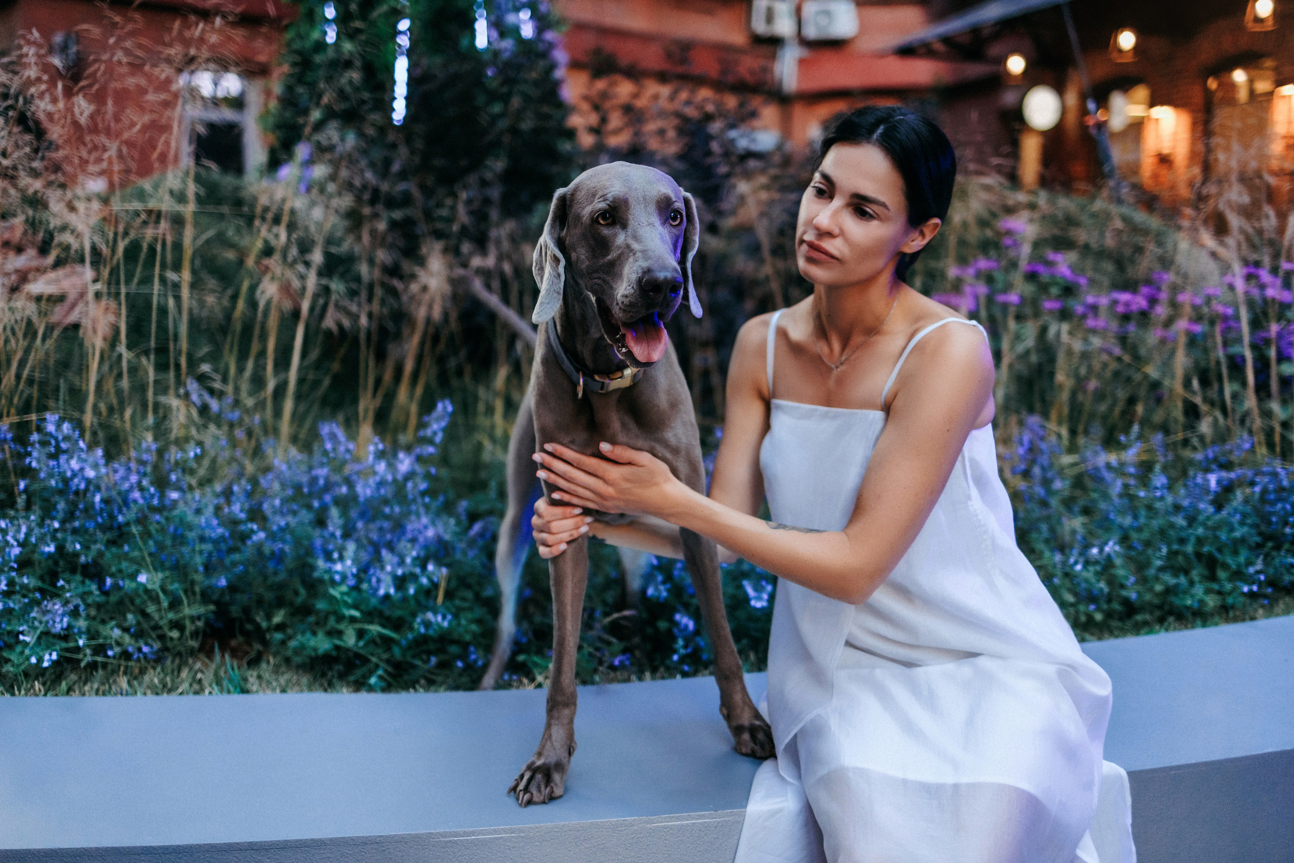 Соня и Майли. Фотограф-анималист Елена Радченко, Москва