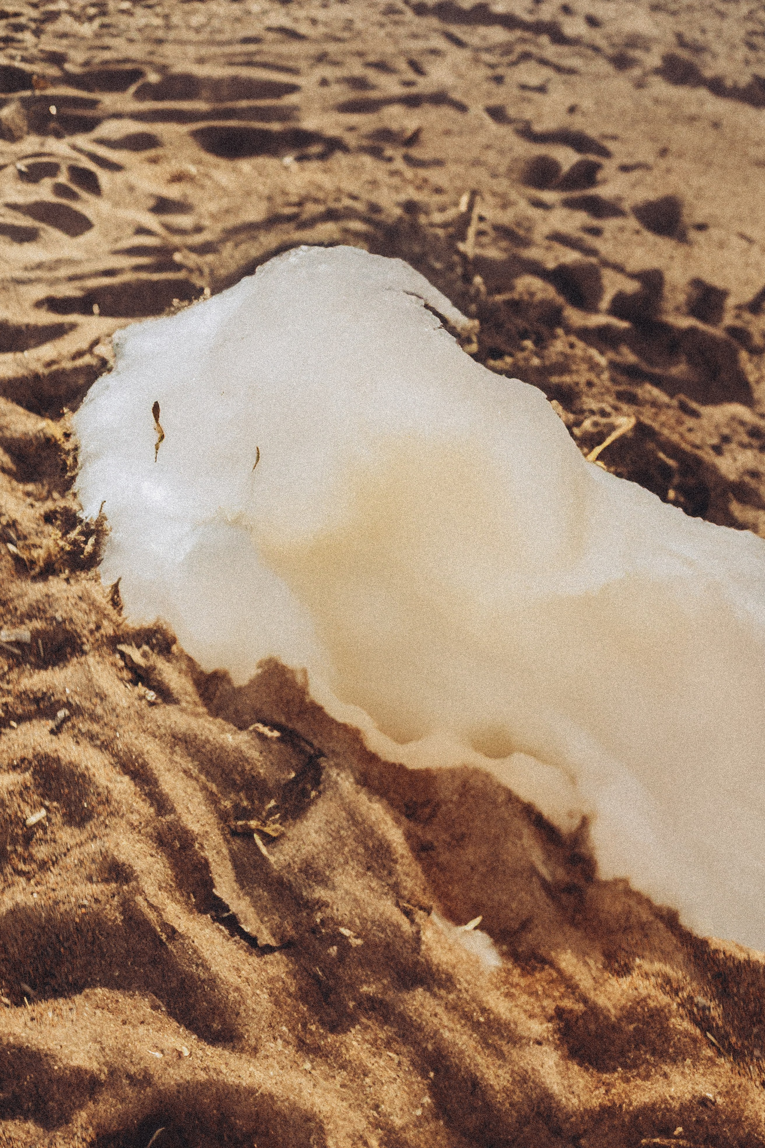 У ФИНСКОГО ЗАЛИВА. Профессиональный фотограф, Санкт-Петербург — Виктория Богомолова