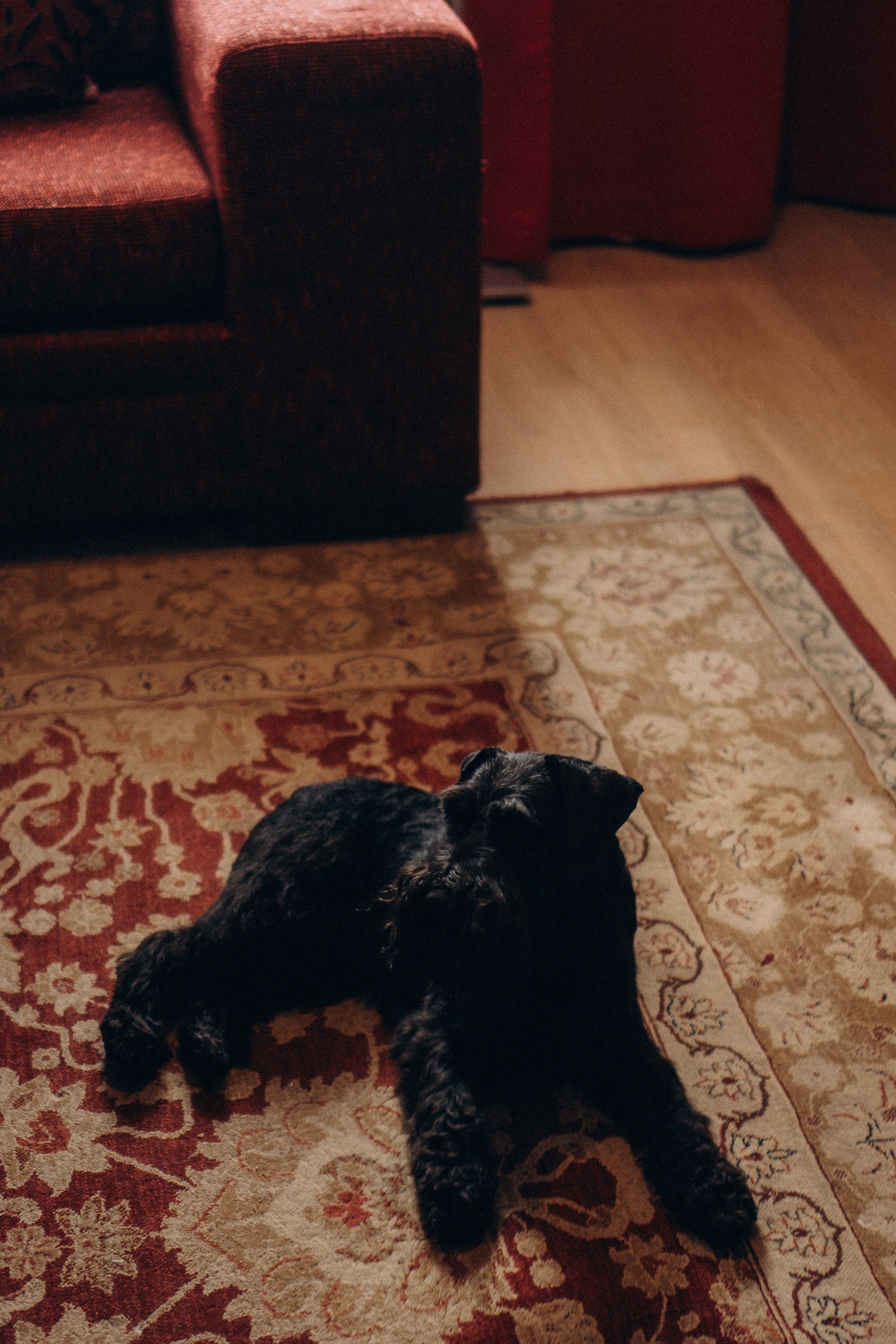 ДЕНЬ РОЖДЕНИЯ. Профессиональный фотограф, Санкт-Петербург — Виктория Богомолова