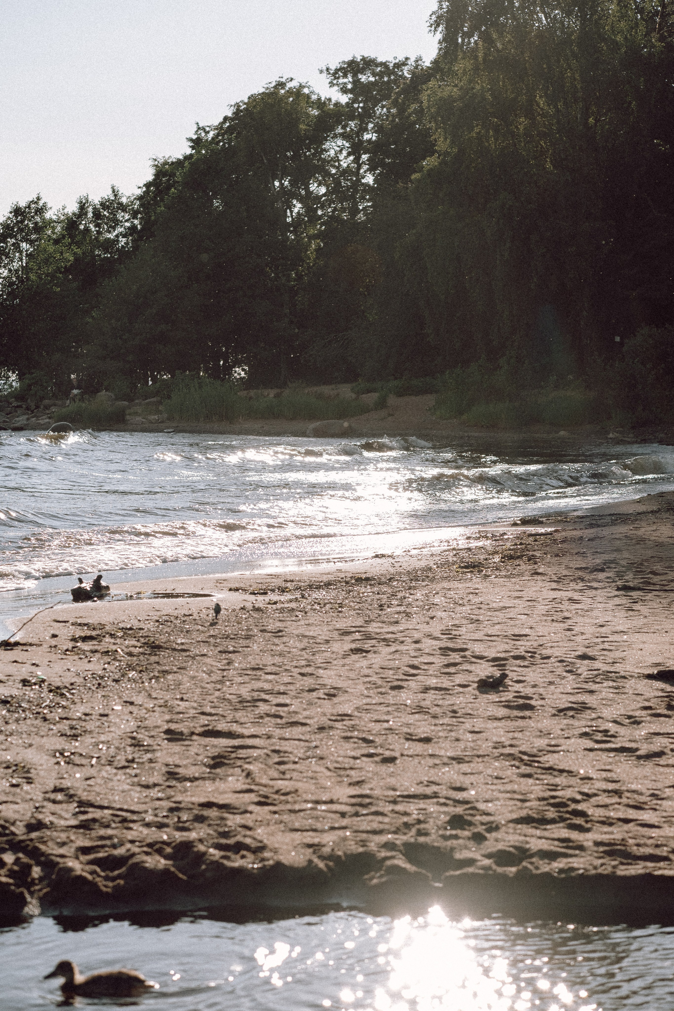 ПРОГУЛКА НА БЕРЕГУ ФИНСКОГО ЗАЛИВА. Профессиональный фотограф, Санкт-Петербург — Виктория Богомолова